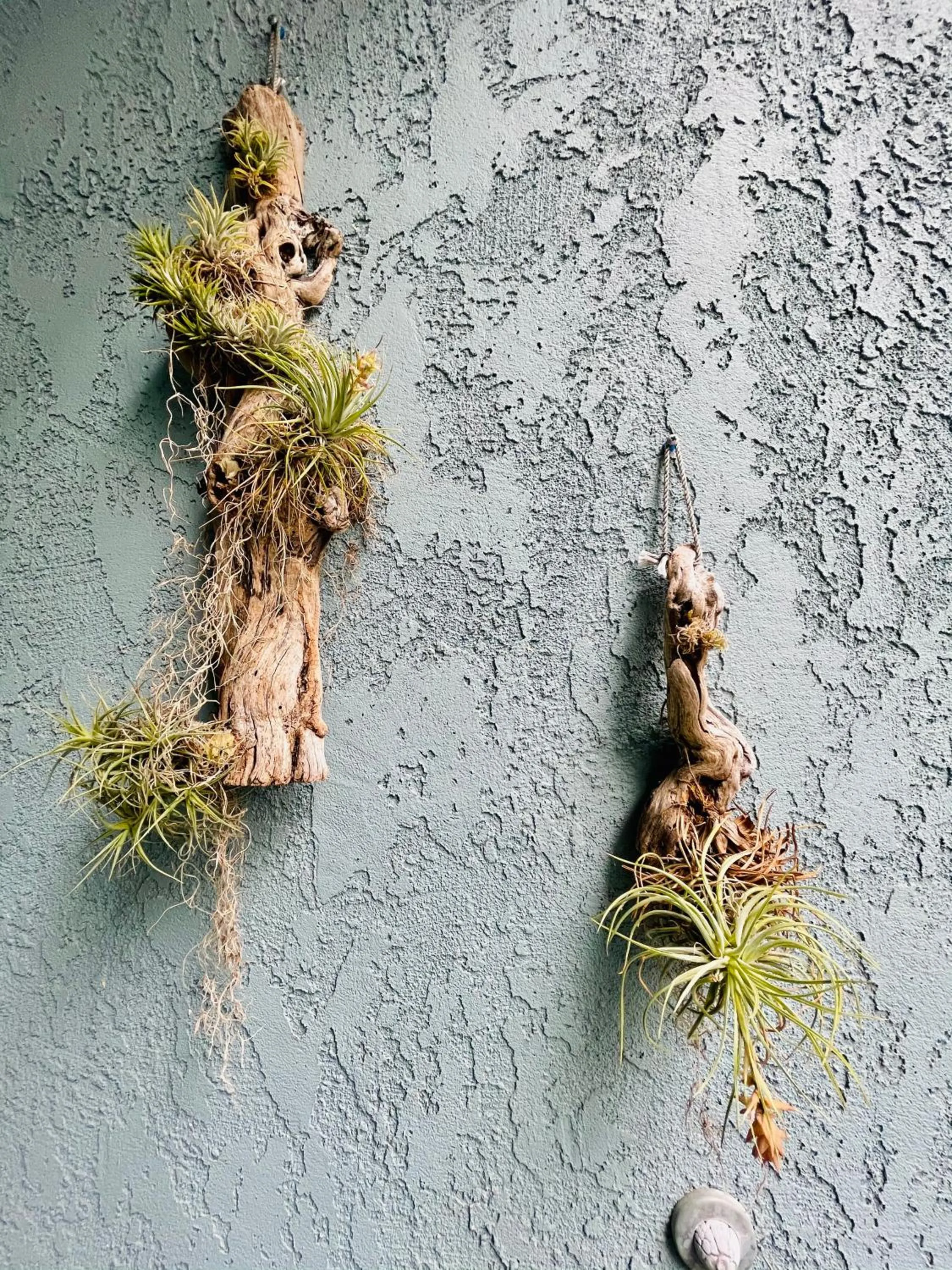 Boho Chic Beach Suite