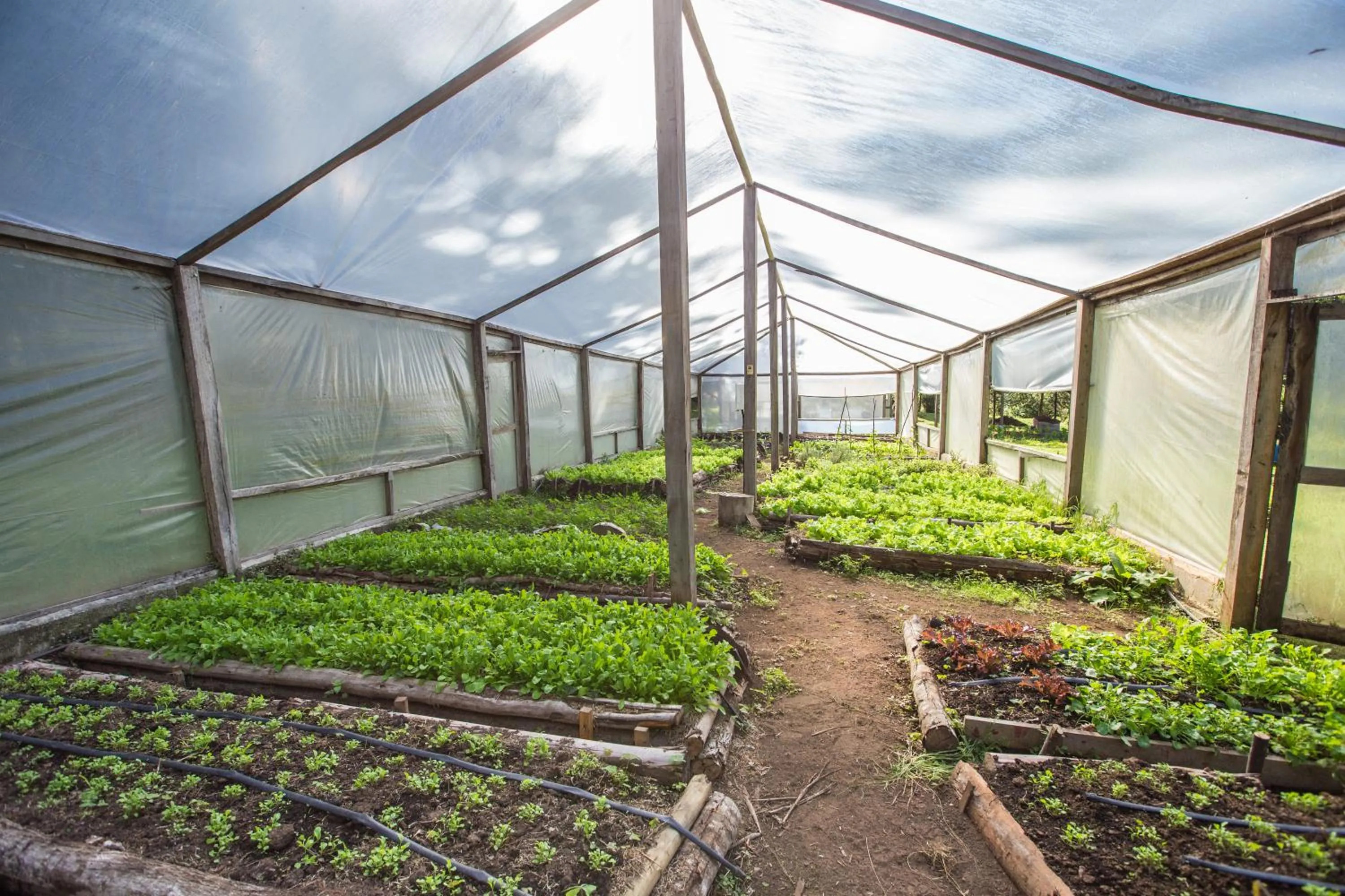 Other in Hotel Recanto São Cristóvão - Próximo ao parque Tarundu