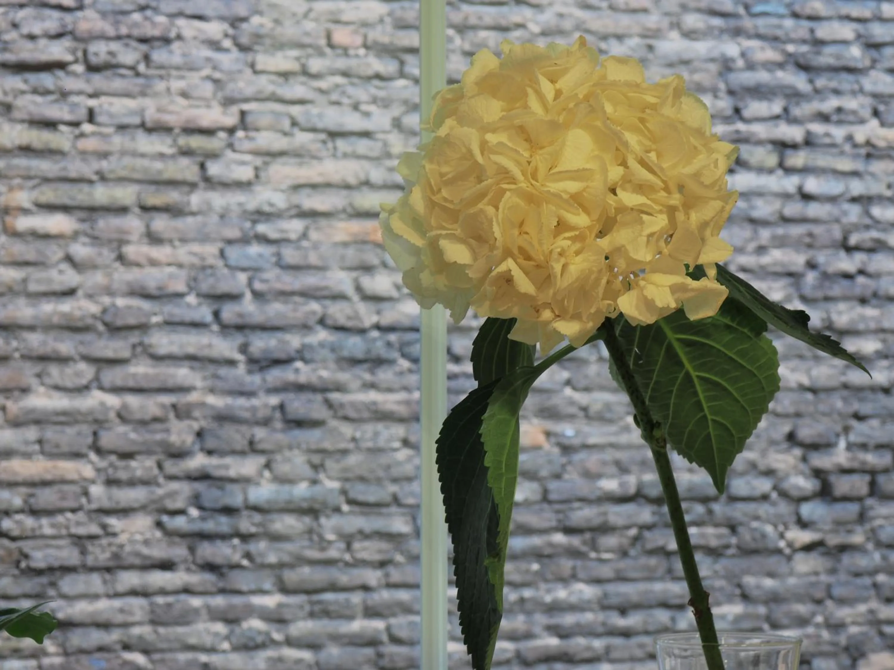 Kitchen or kitchenette in Emi apartment