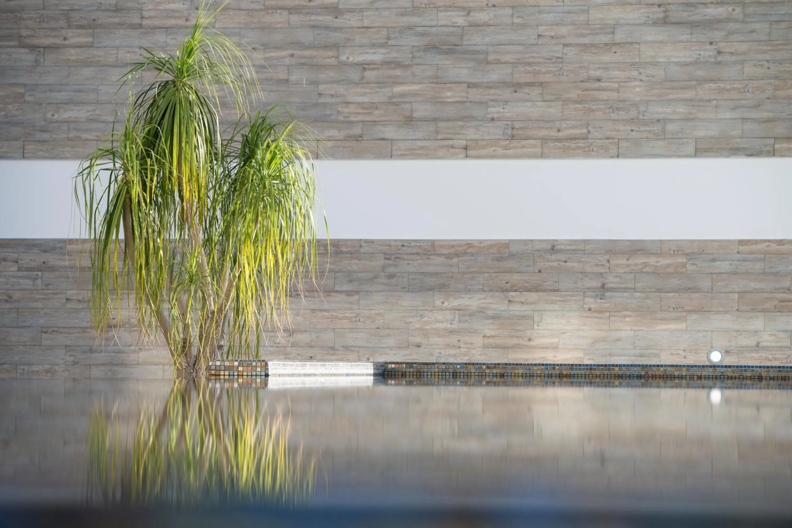 Swimming pool in Hotel Alto Lido