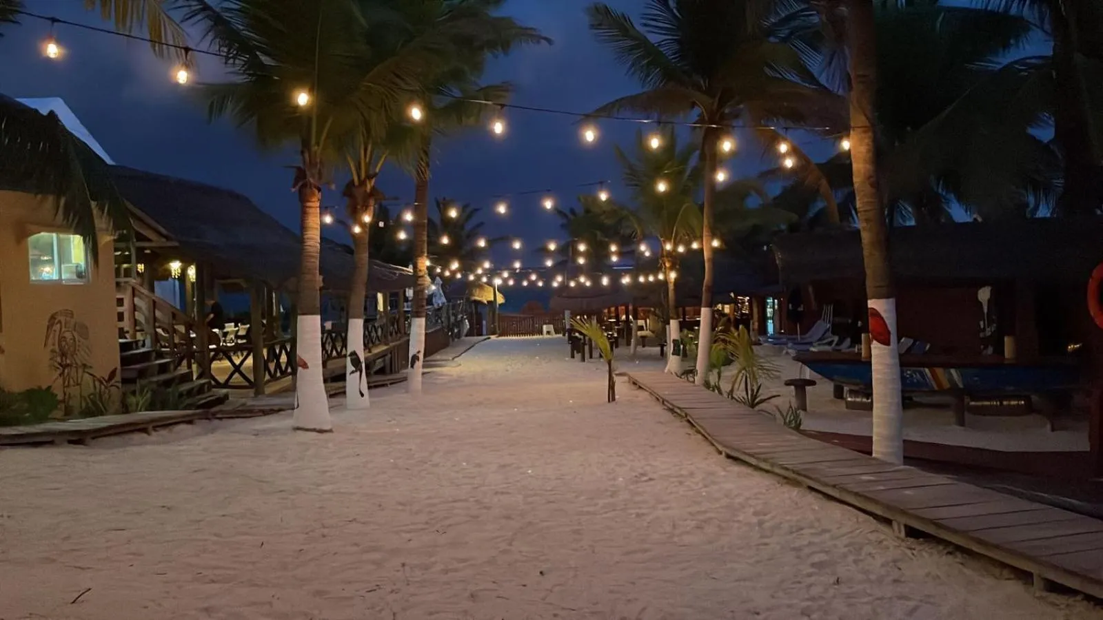 Night in The Diving Lodge Downtown