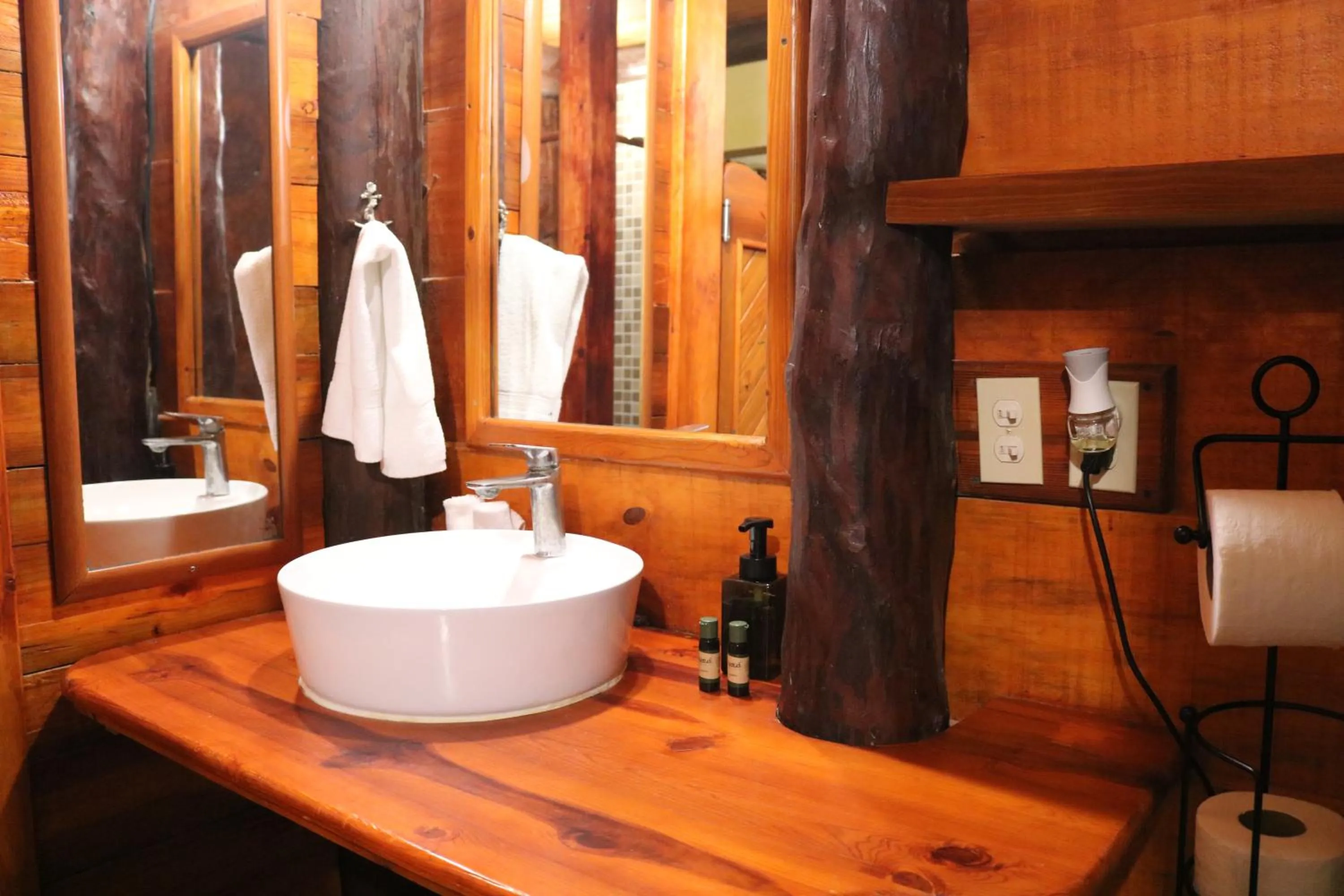 Bathroom in The Diving Lodge Downtown