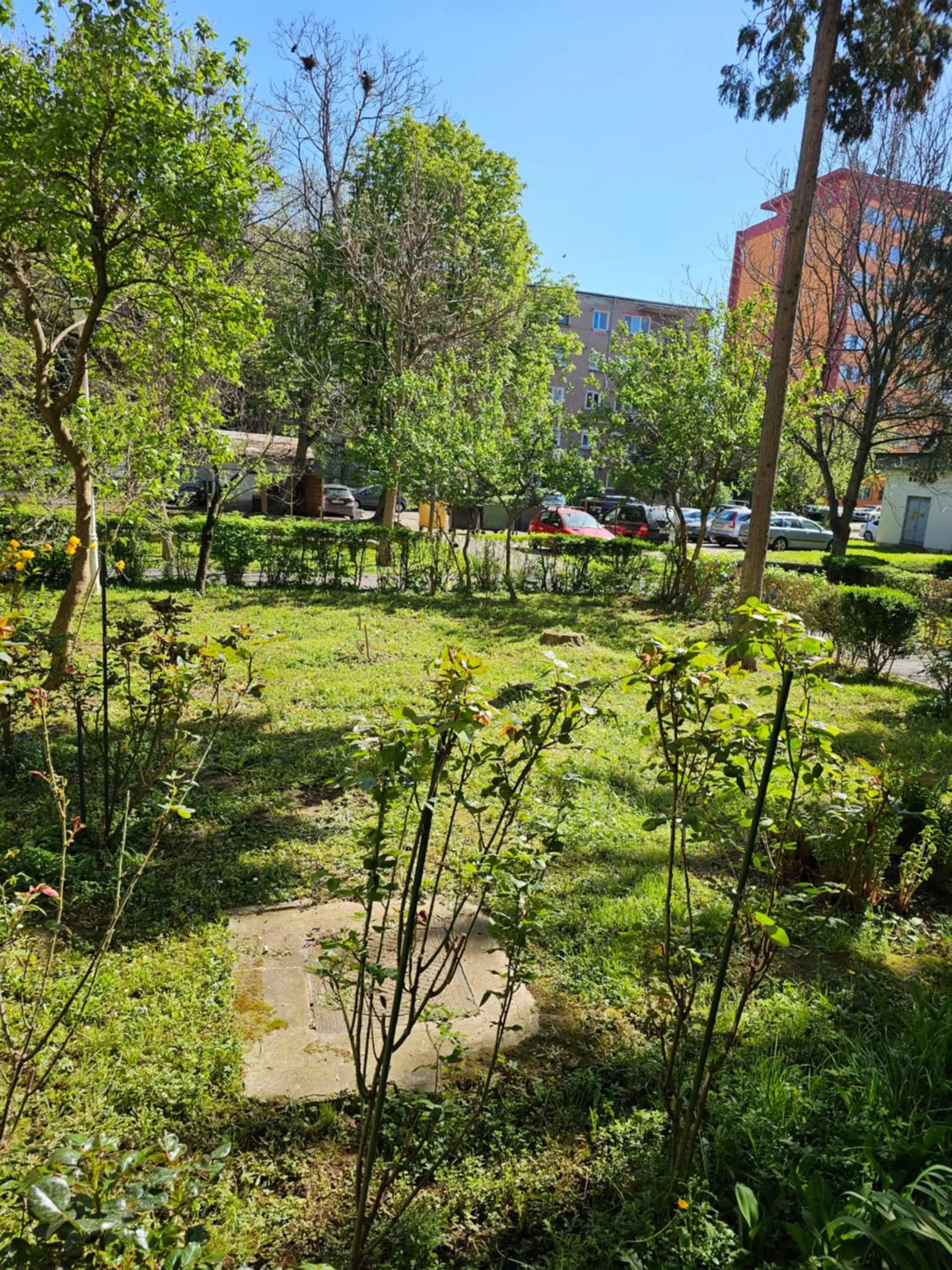 Spring in Apartament Alina - la parter & parcare rezervata