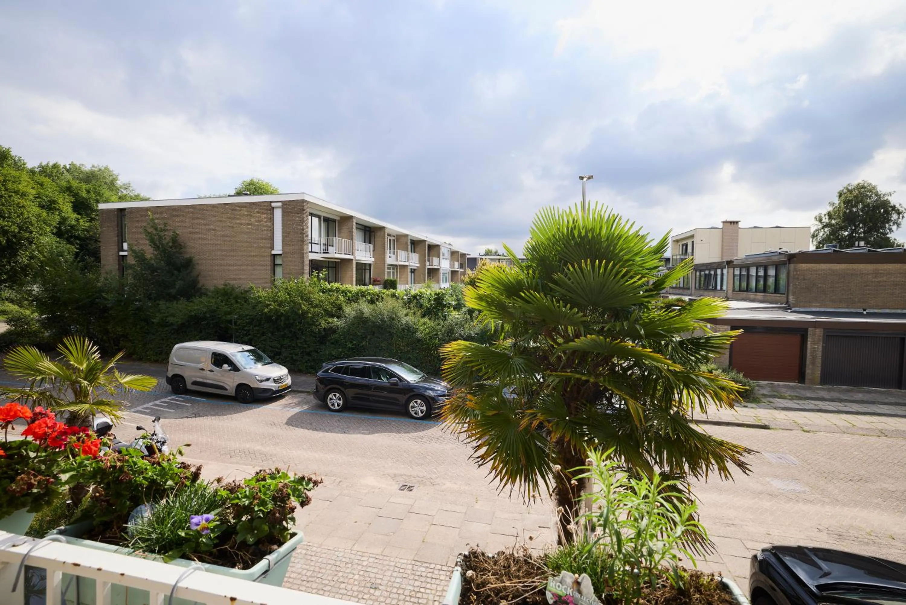 View (from property/room) in Treehouse Inn