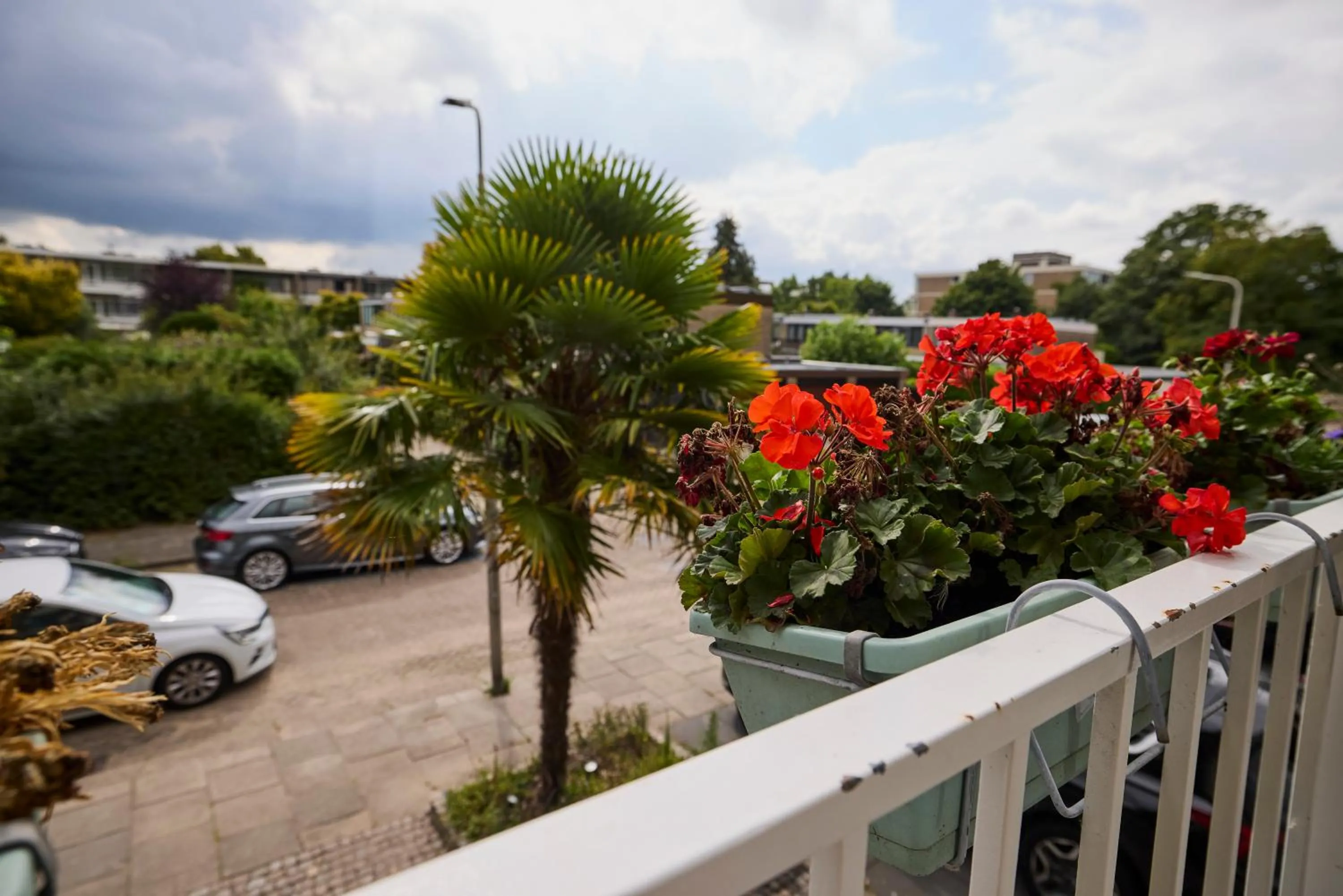 View (from property/room) in Treehouse Inn