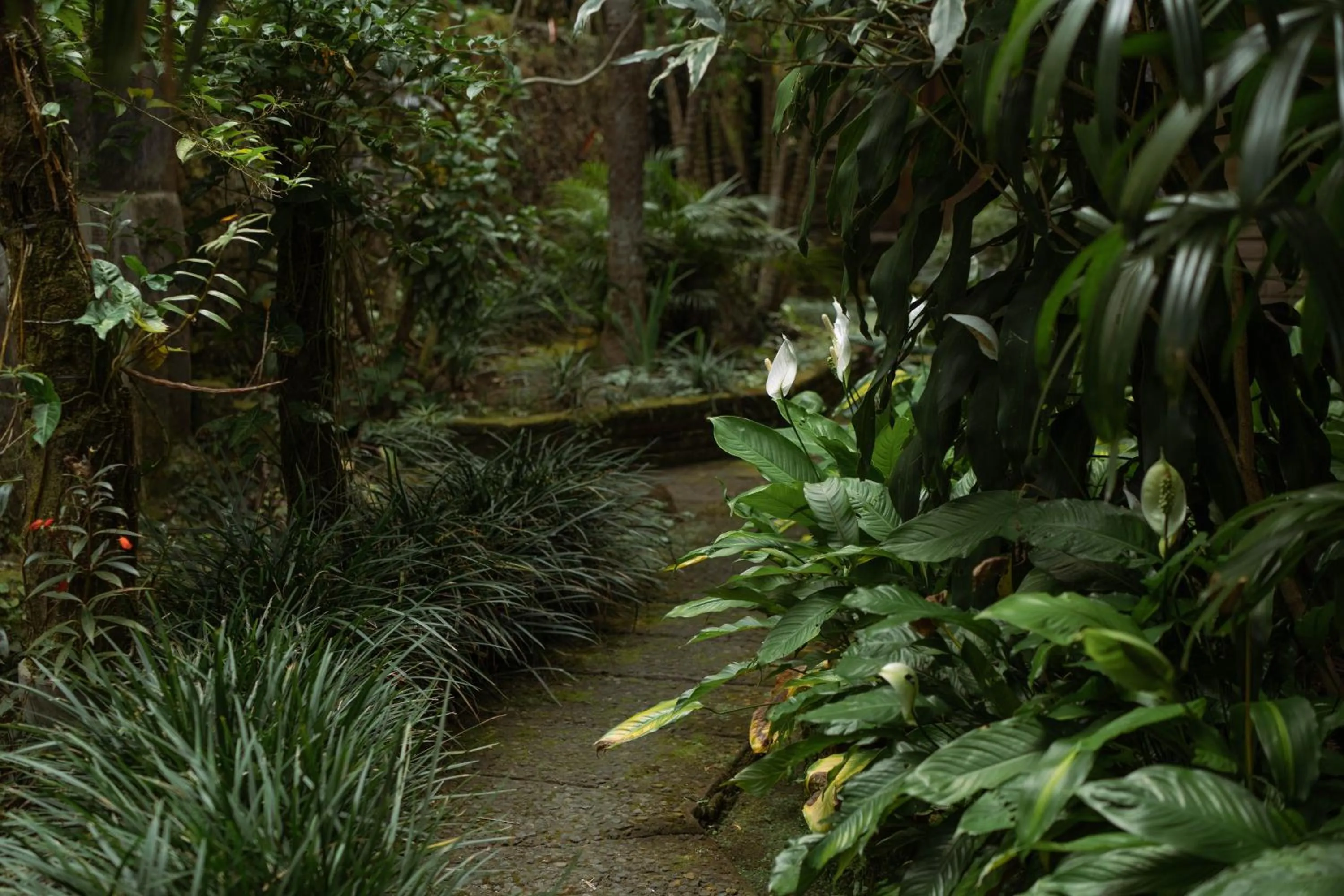 Garden in Puri Alam Bali