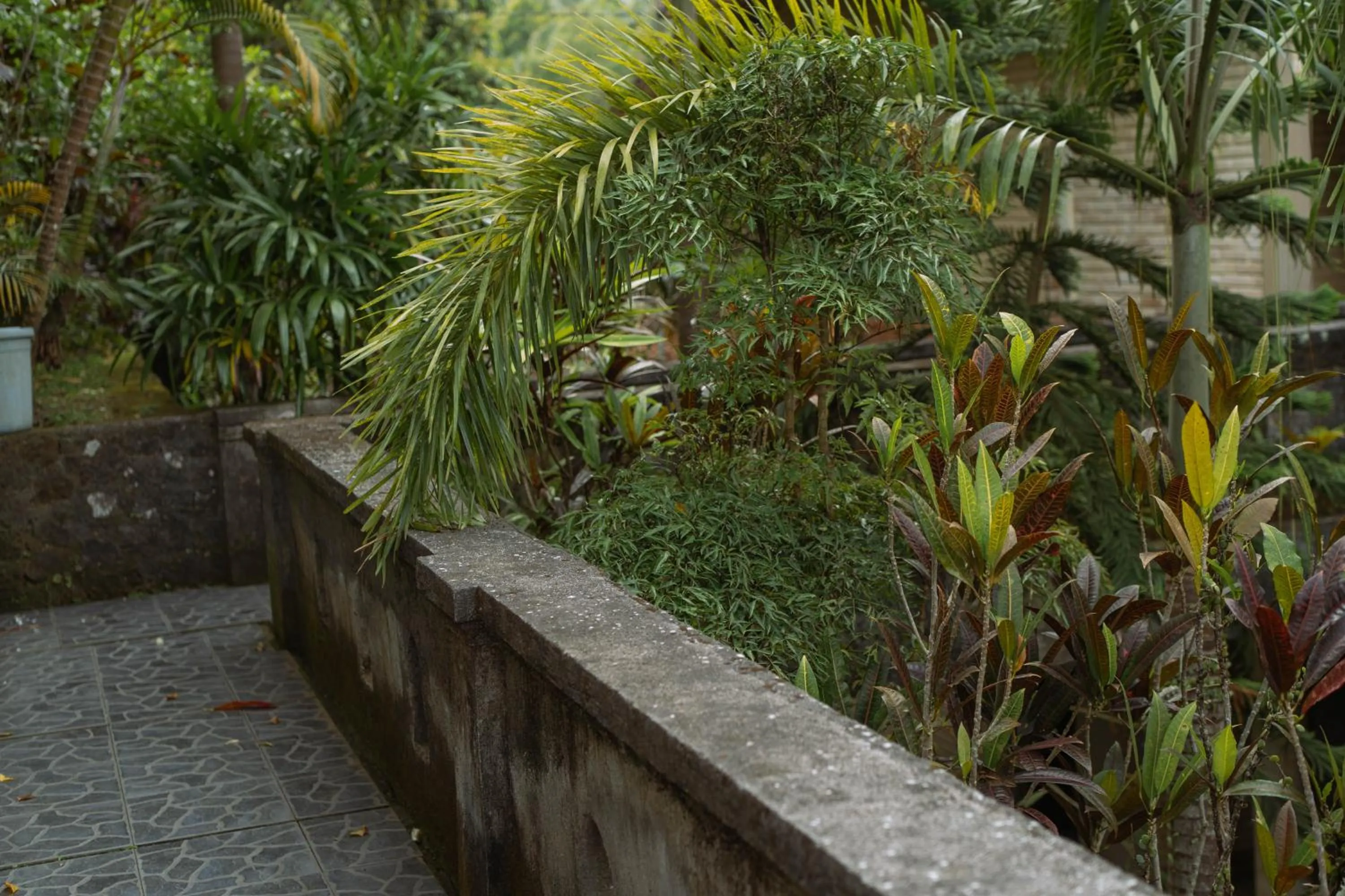 Garden in Puri Alam Bali