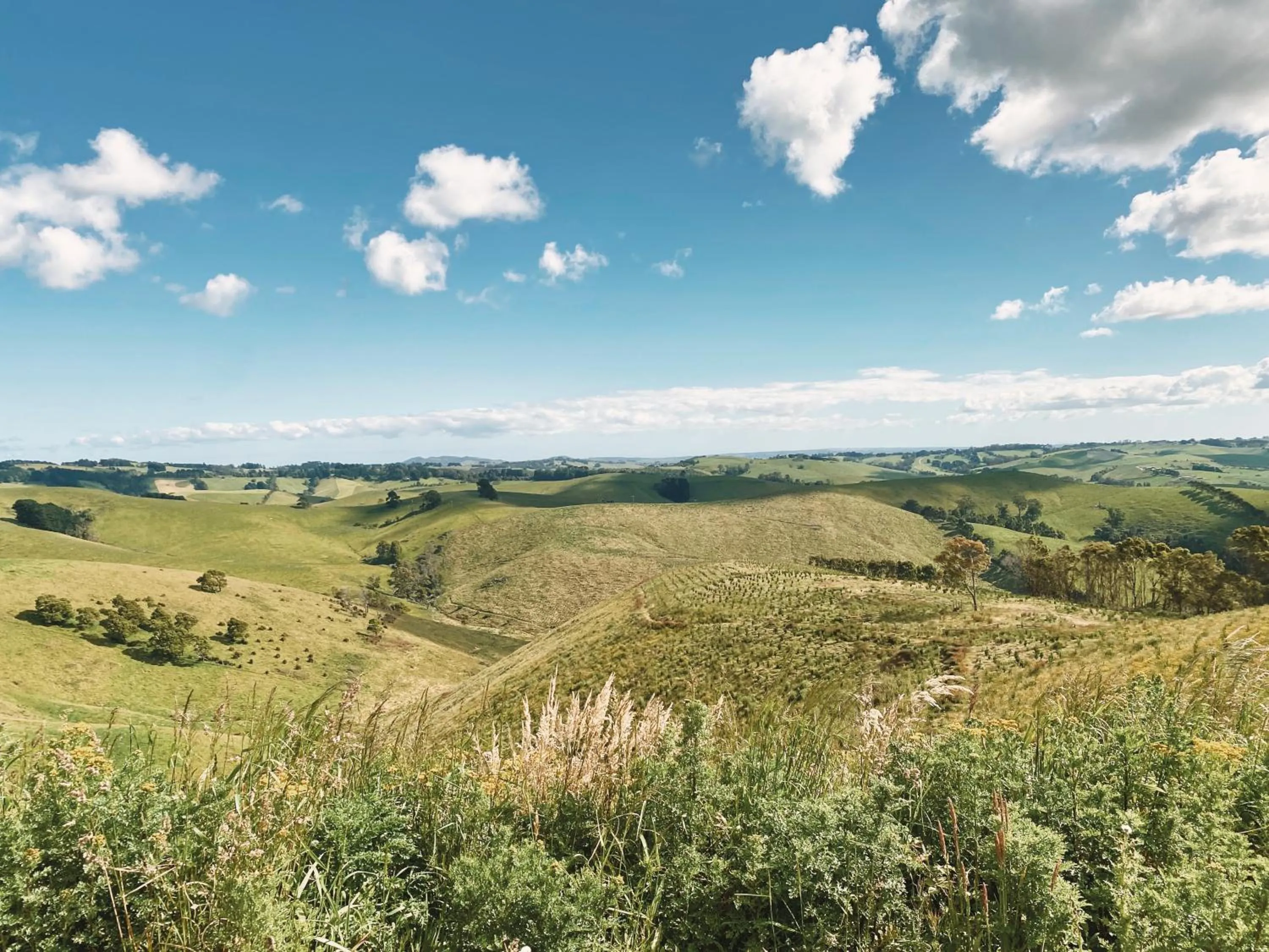 Nearby landmark in Meeniyan Motel