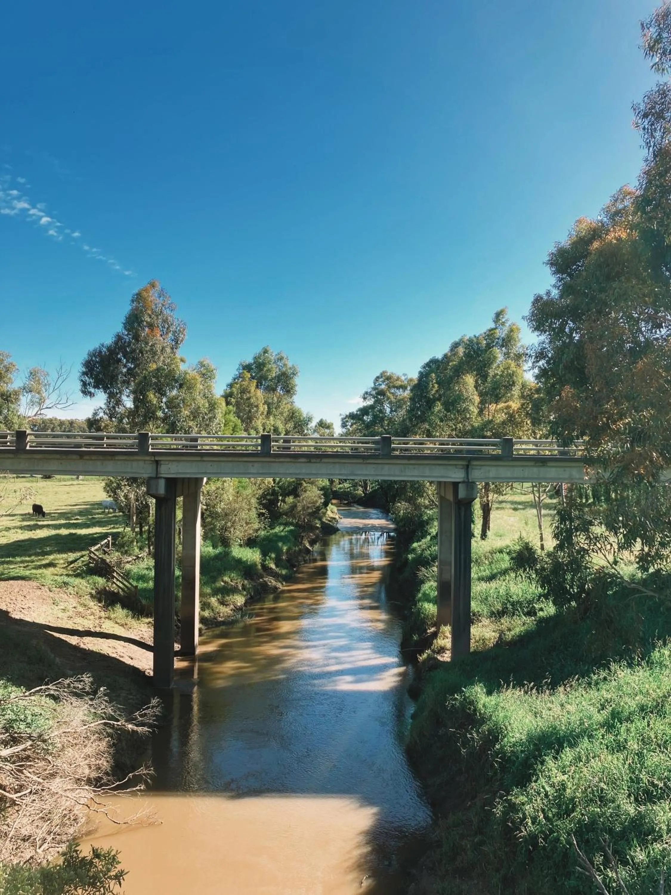 Fishing in Meeniyan Motel