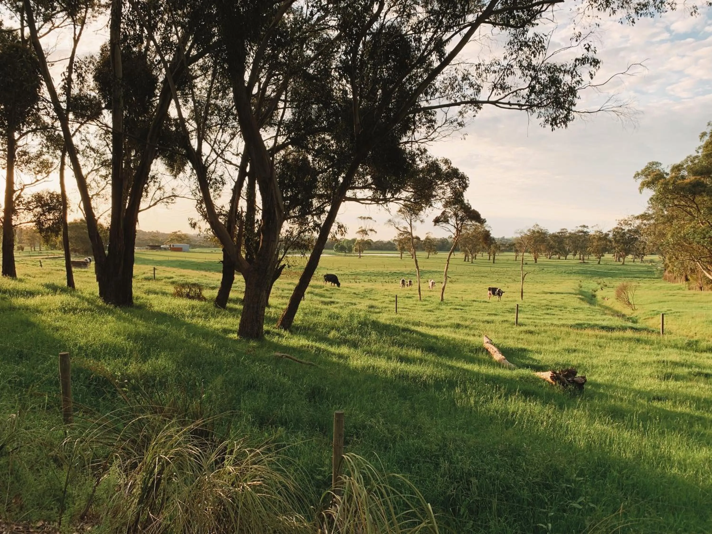Hiking in Meeniyan Motel