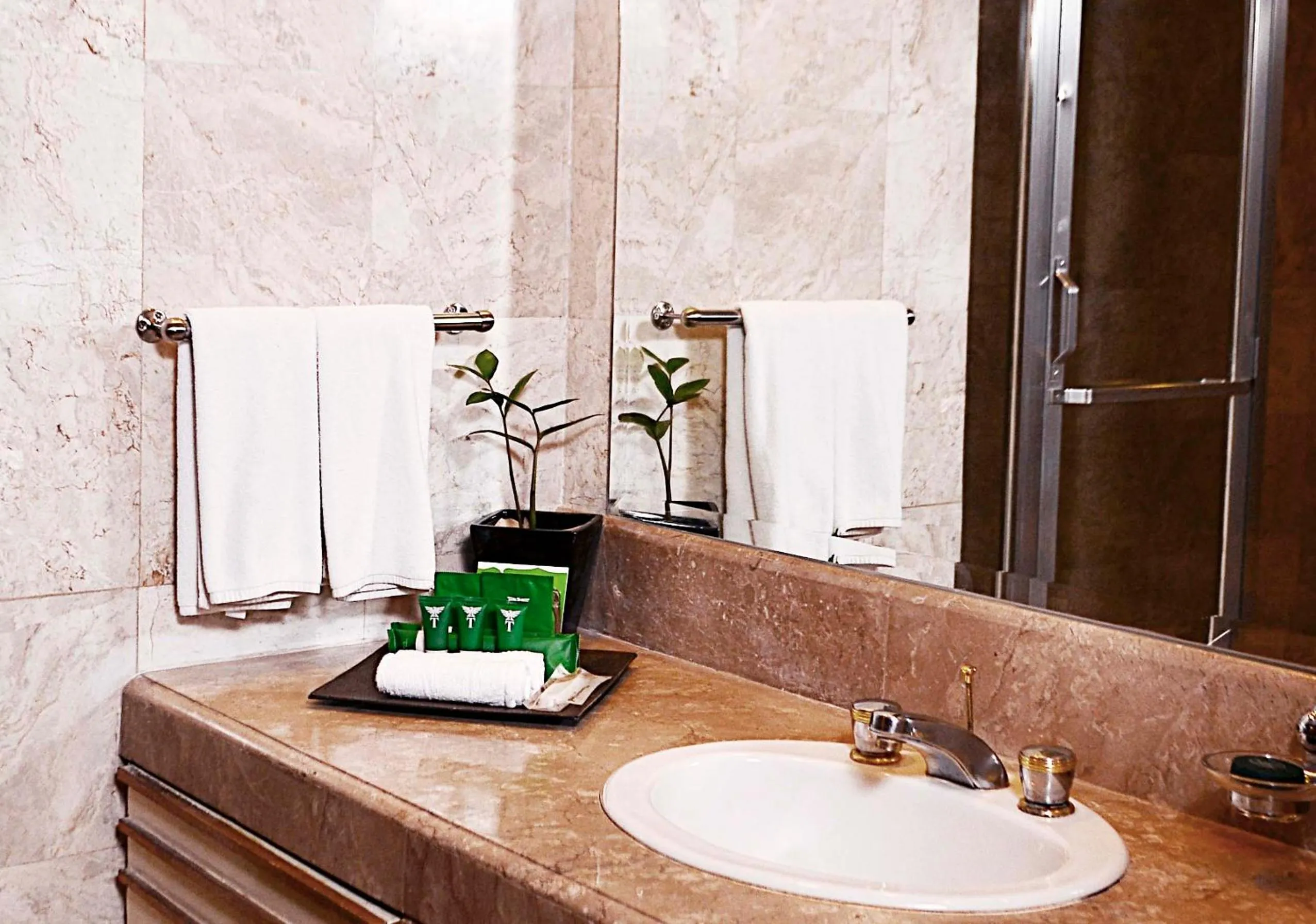 Bathroom in Thunderbird Resorts - Rizal