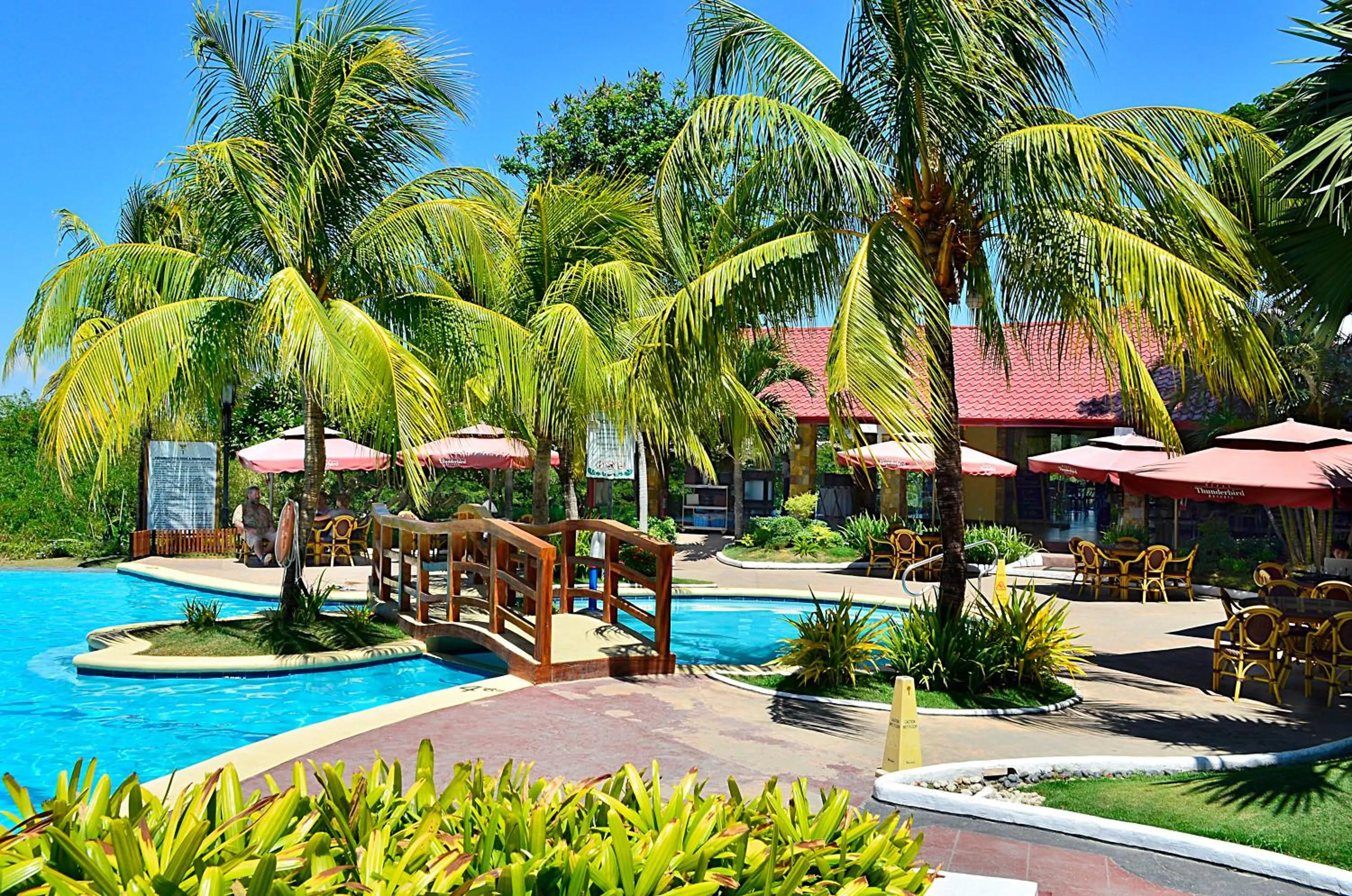 Swimming pool in Thunderbird Resorts - Rizal