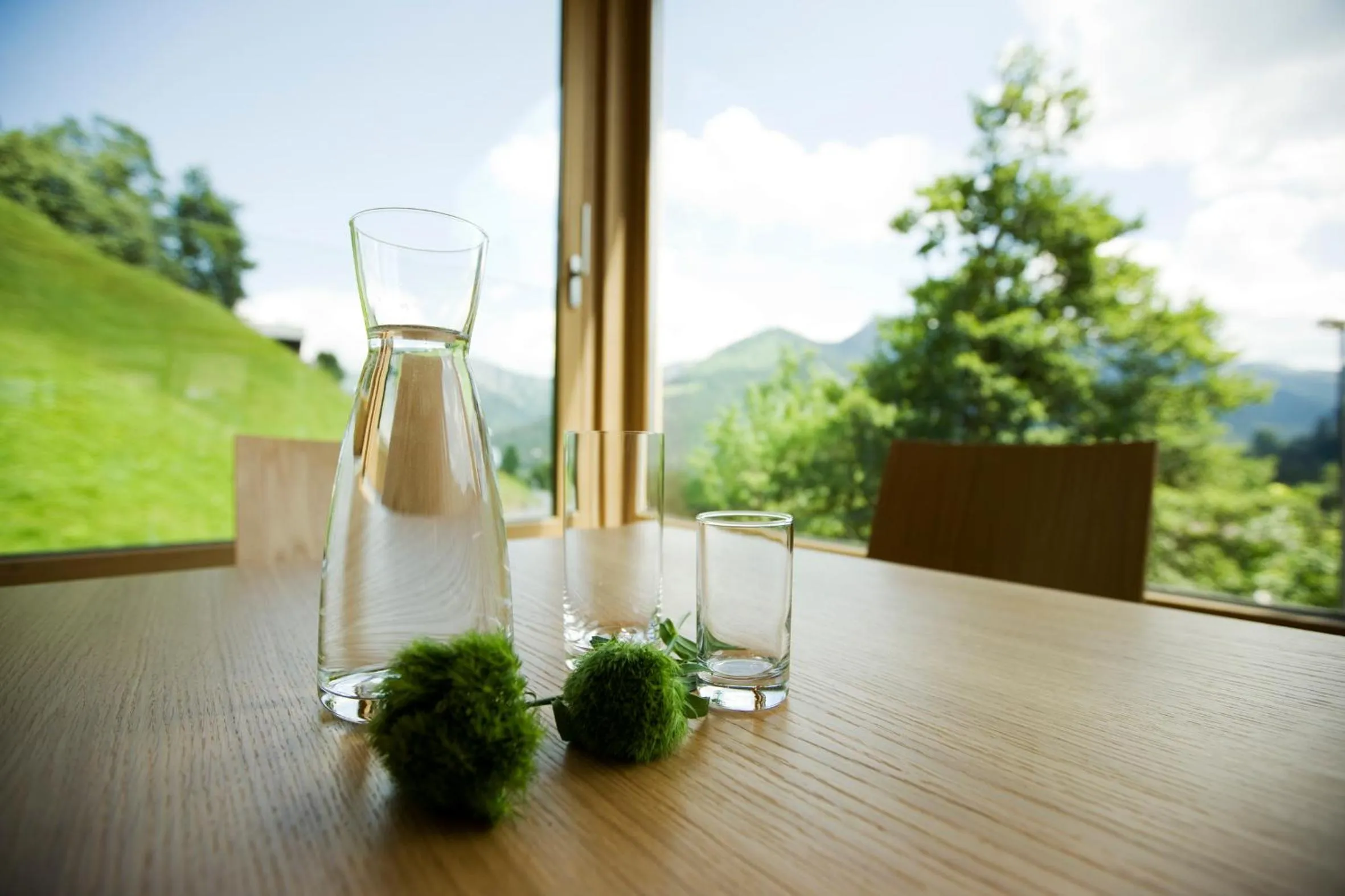 Mountain view in Hotel Alpenrose Ebnit