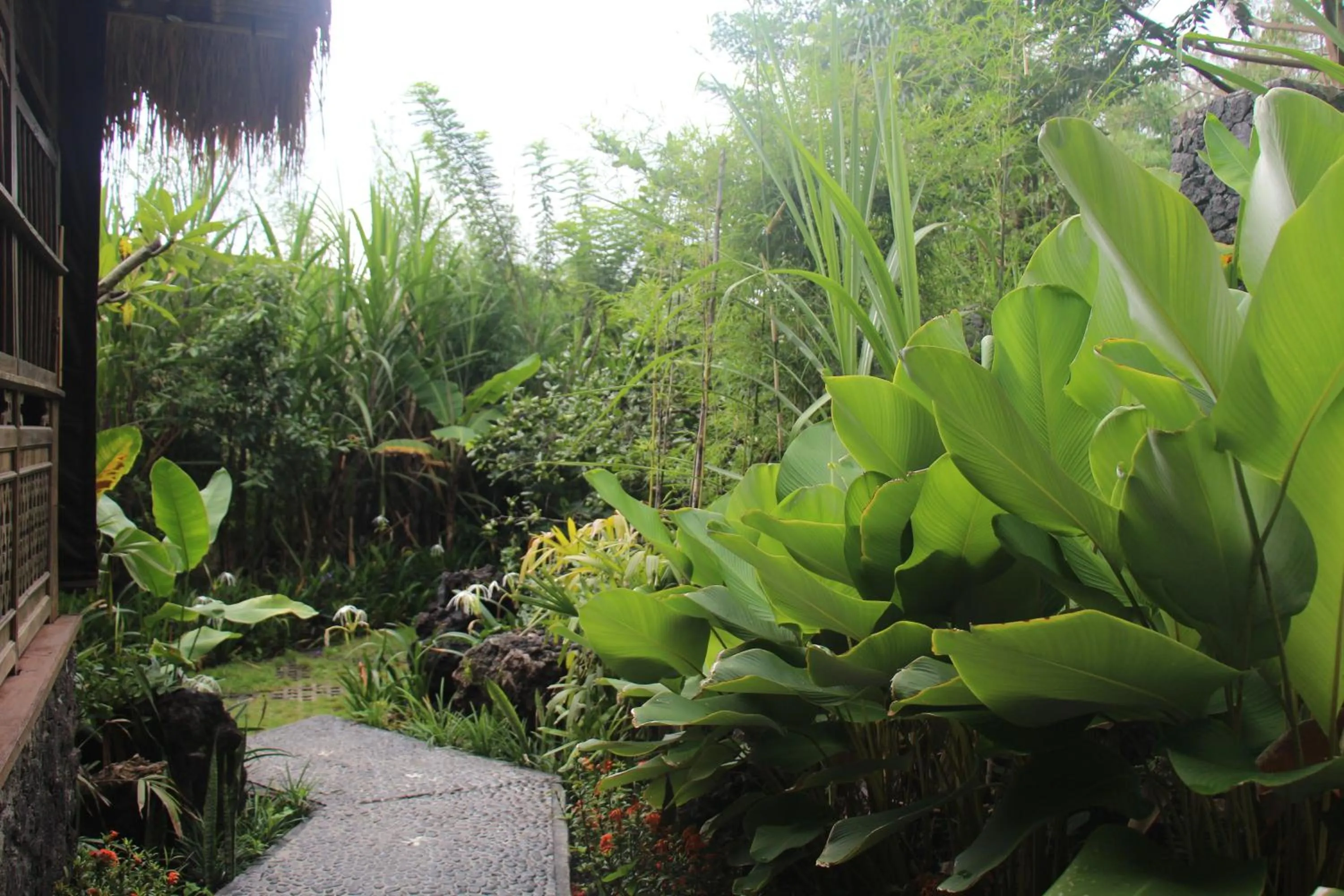 Property building in Geopark Village