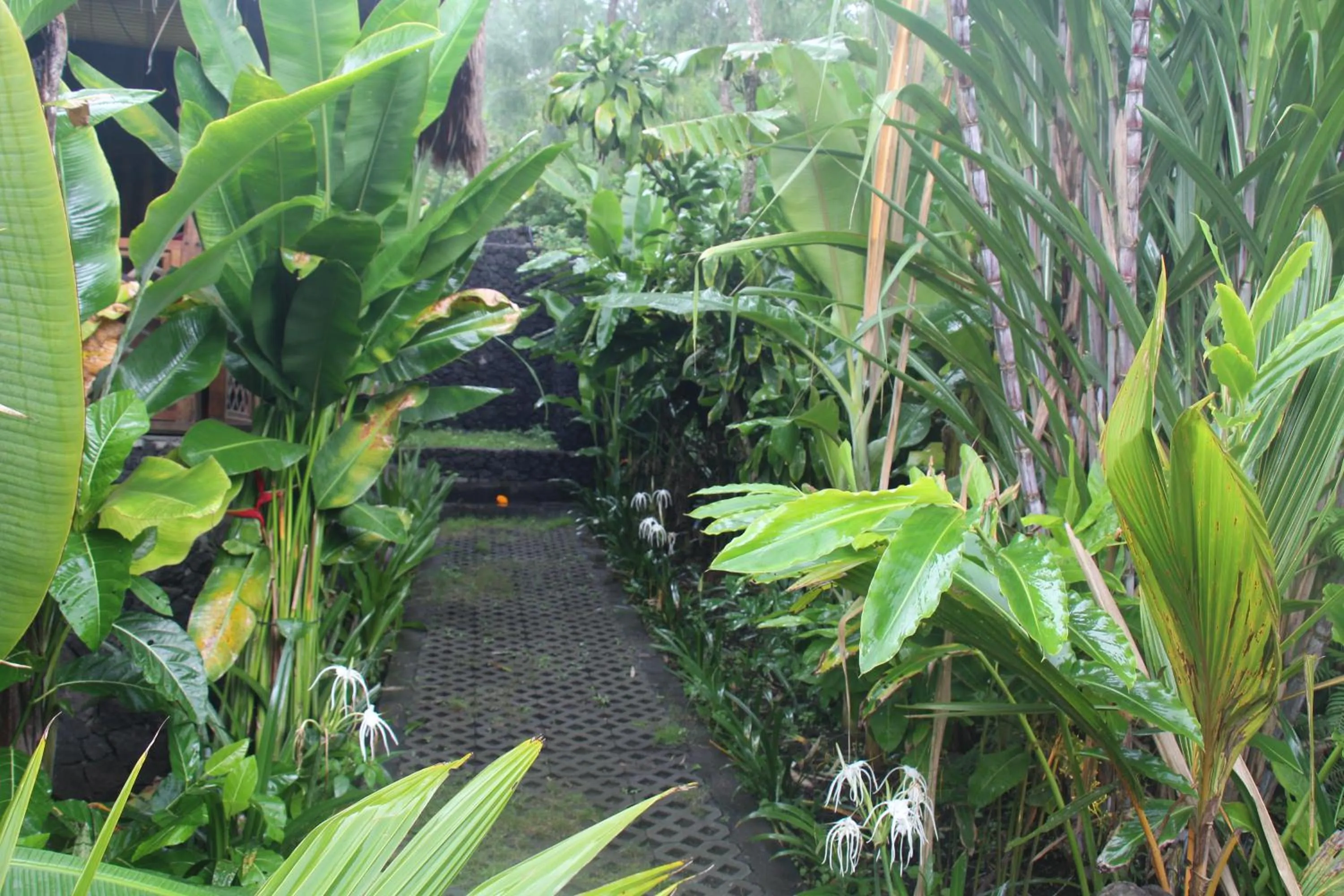 Property building in Geopark Village