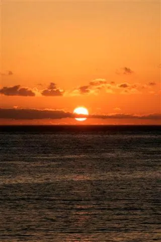 Area and facilities in Hotel Gran Rey