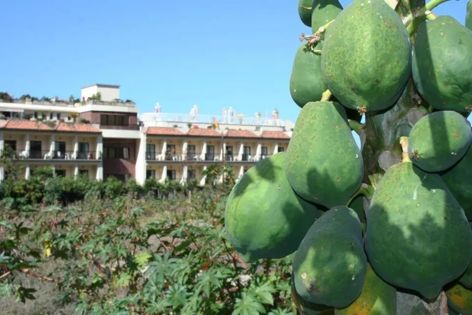 Natural landscape in Hotel Gran Rey