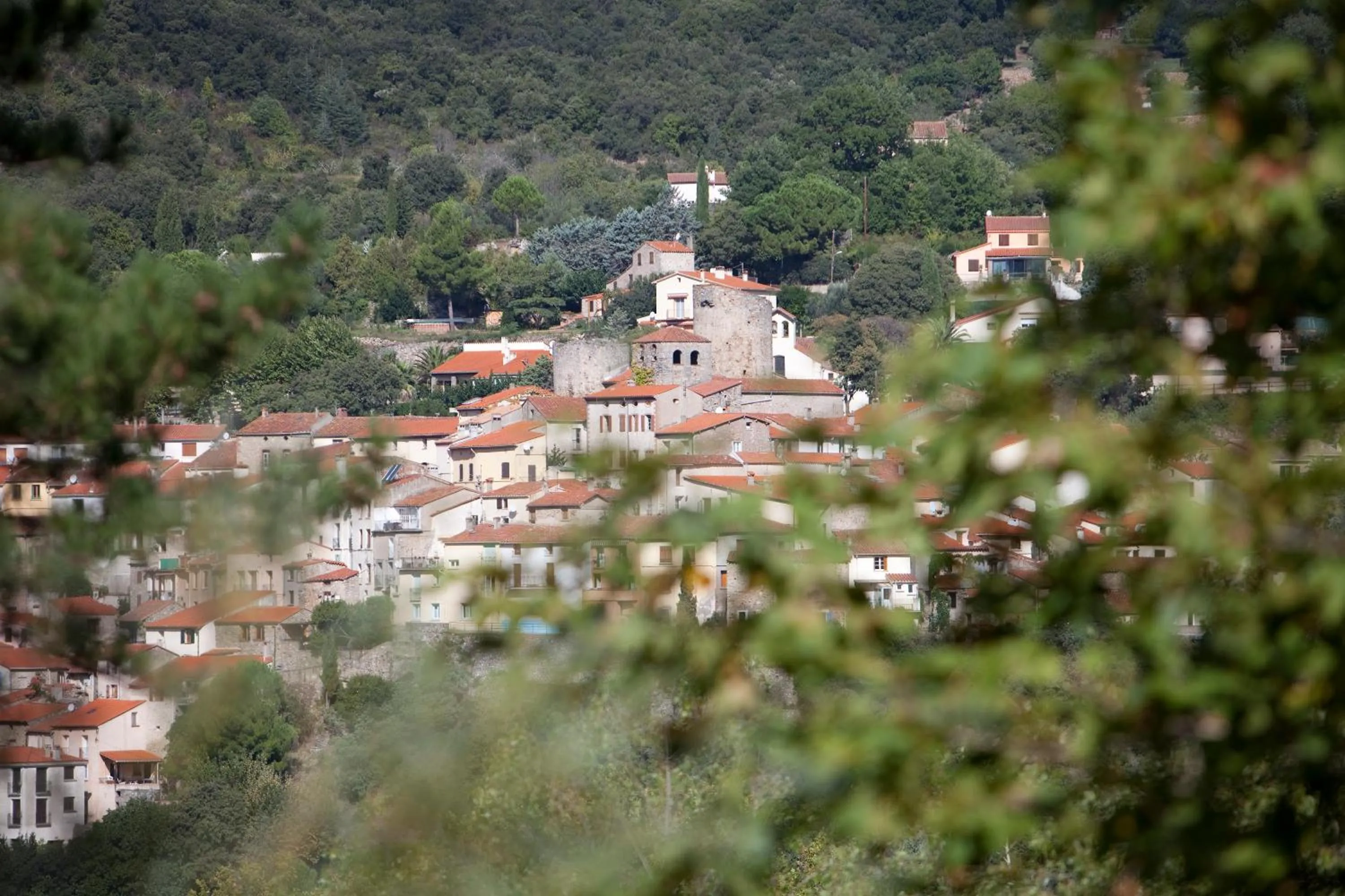 Area and facilities in Hôtel-Résidence la Pinède