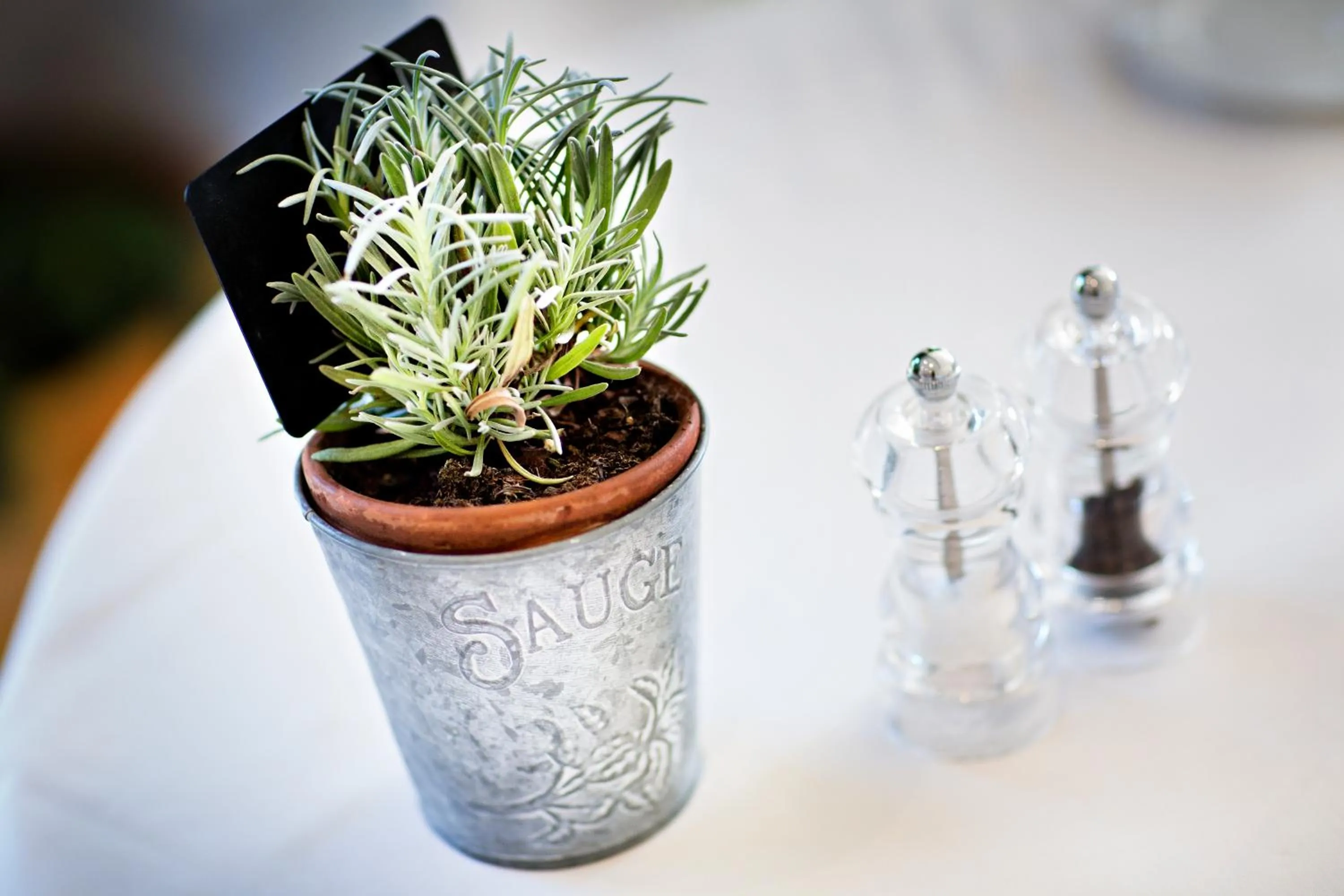 Restaurant/places to eat in Hôtel-Résidence la Pinède