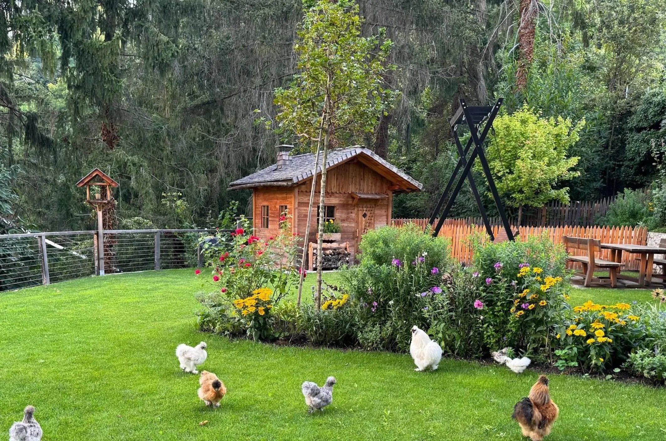 Garden in Hotel Panorama