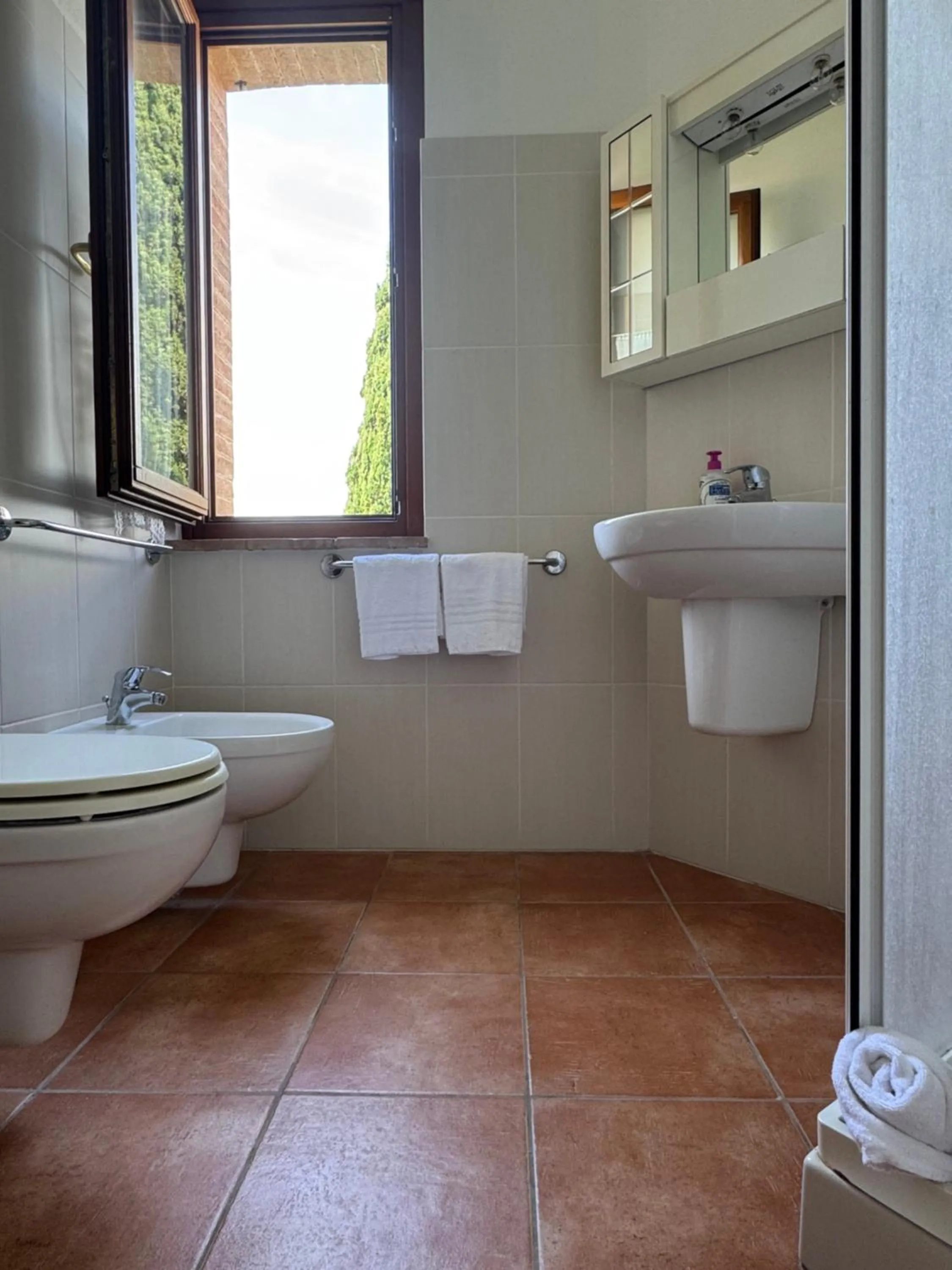 Toilet in Madonna Del Poggio CAV
