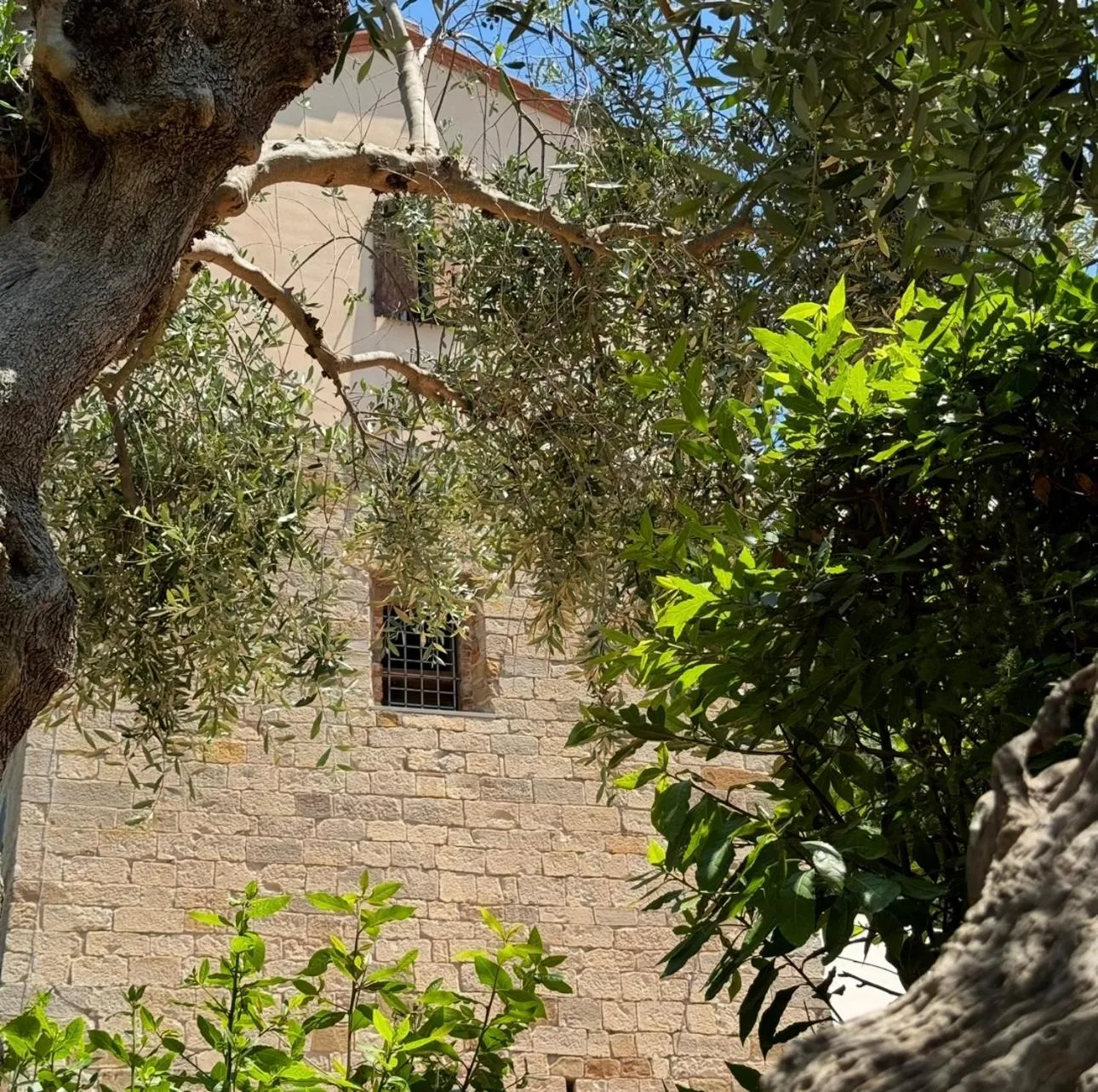 Day in Madonna Del Poggio CAV