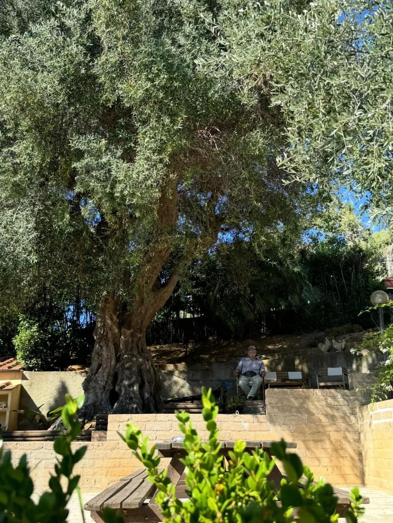 Day in Madonna Del Poggio CAV