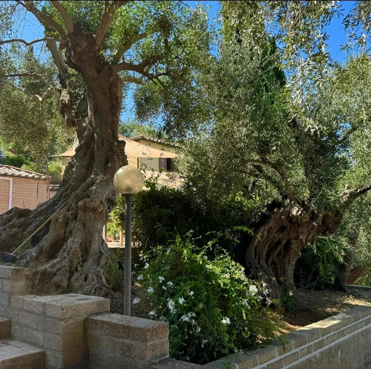 Day in Madonna Del Poggio CAV