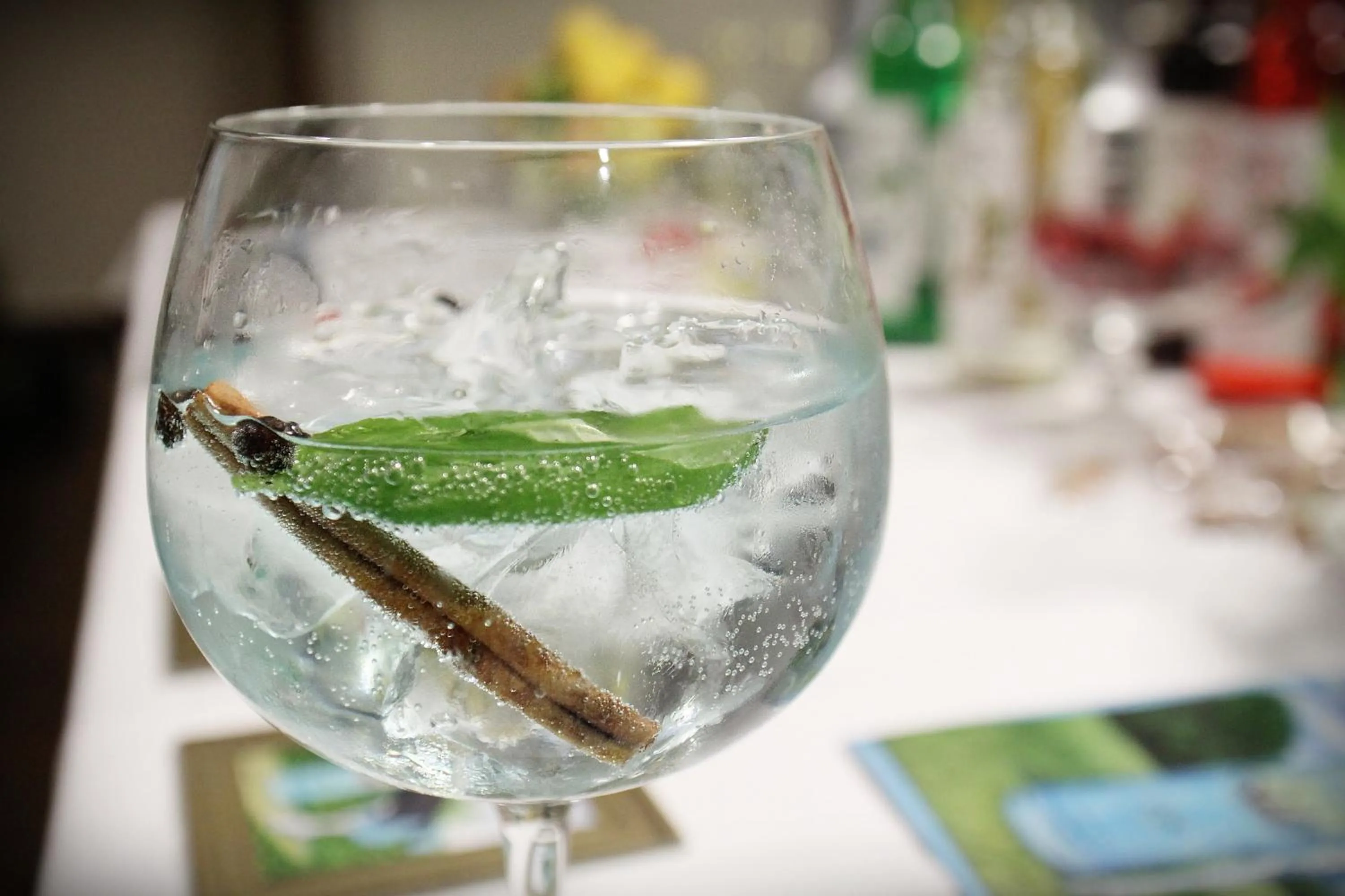 Lounge or bar in Hotel Melius