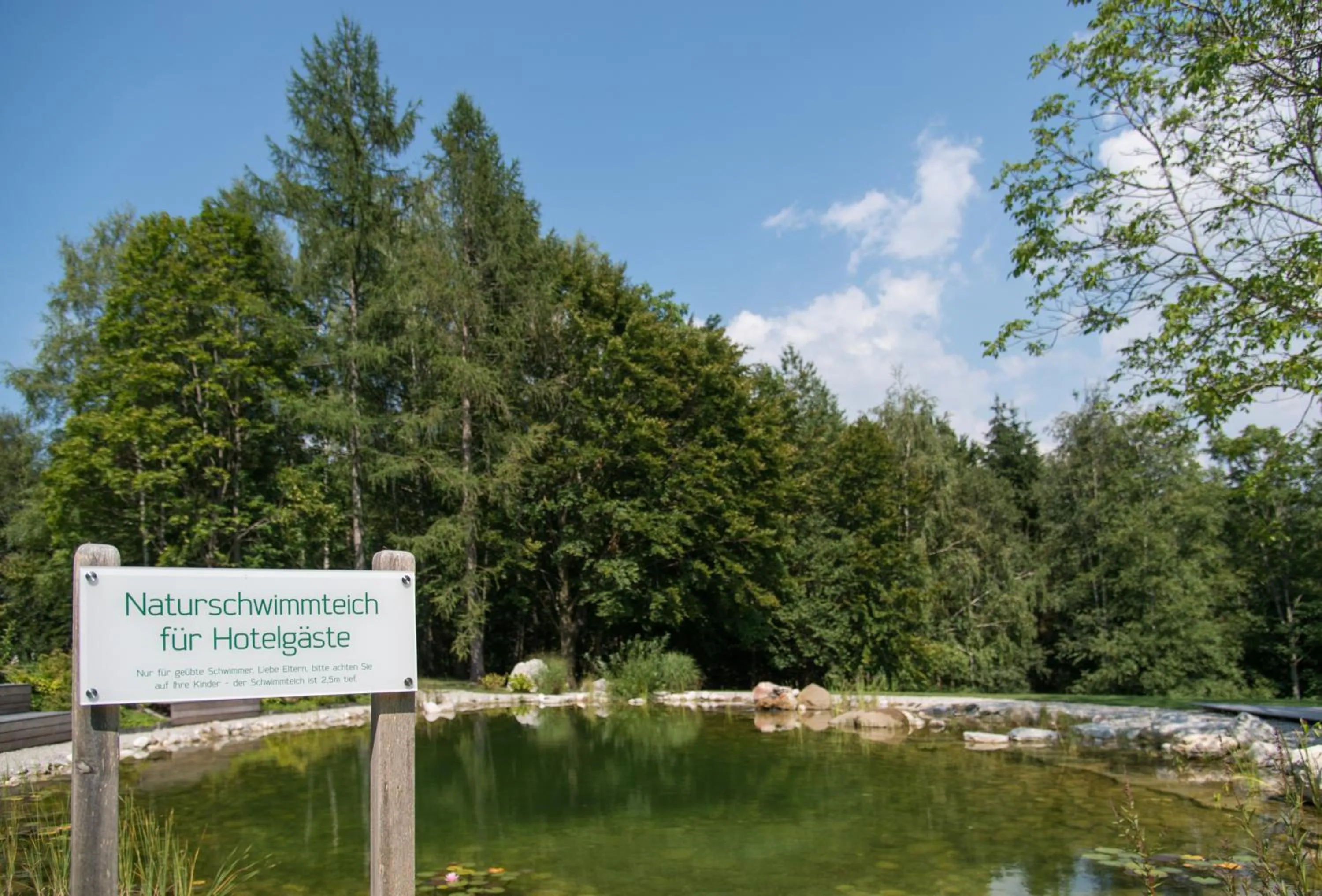 Swimming pool in Hotel garni Kranzbichlhof