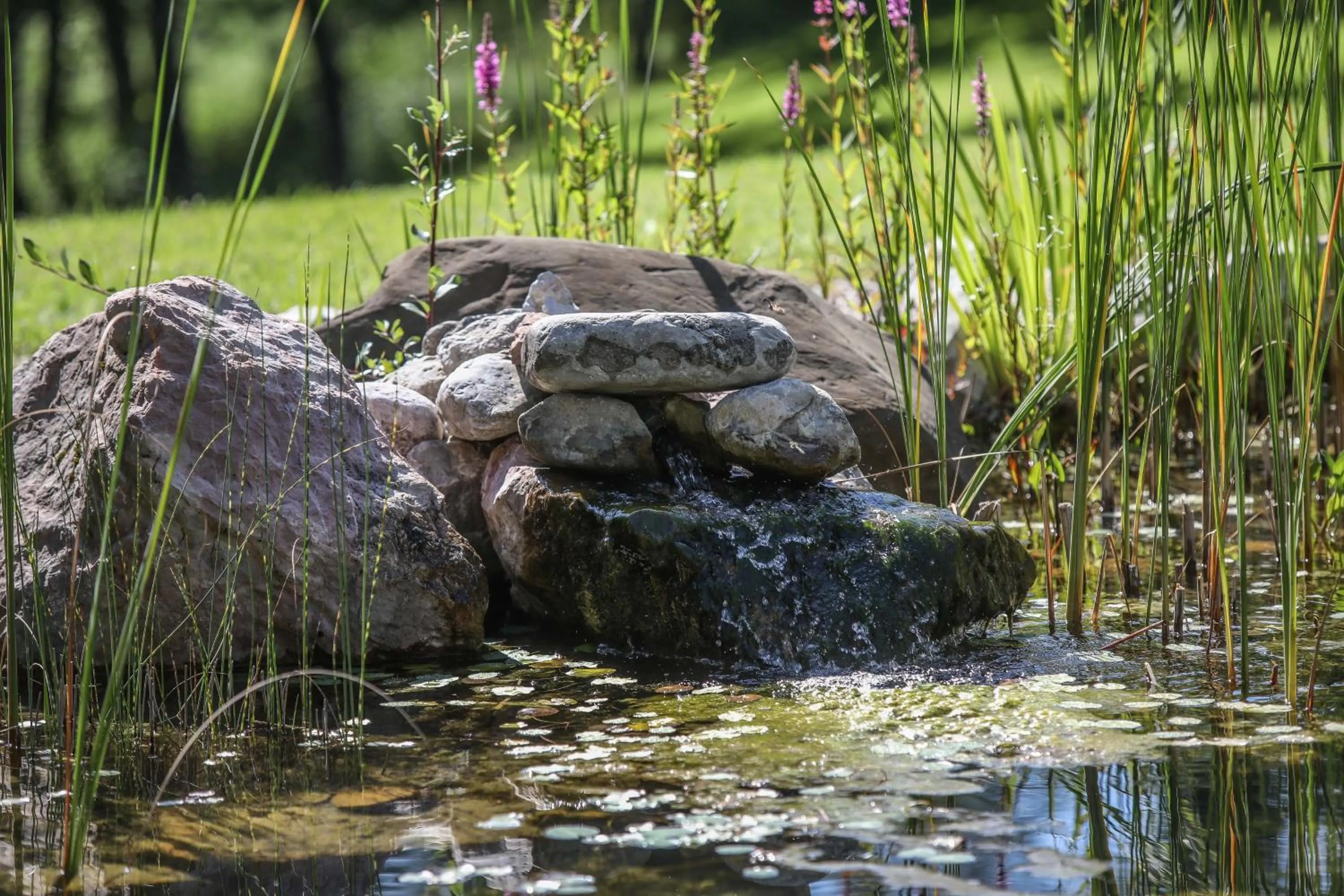 Swimming pool in Hotel garni Kranzbichlhof