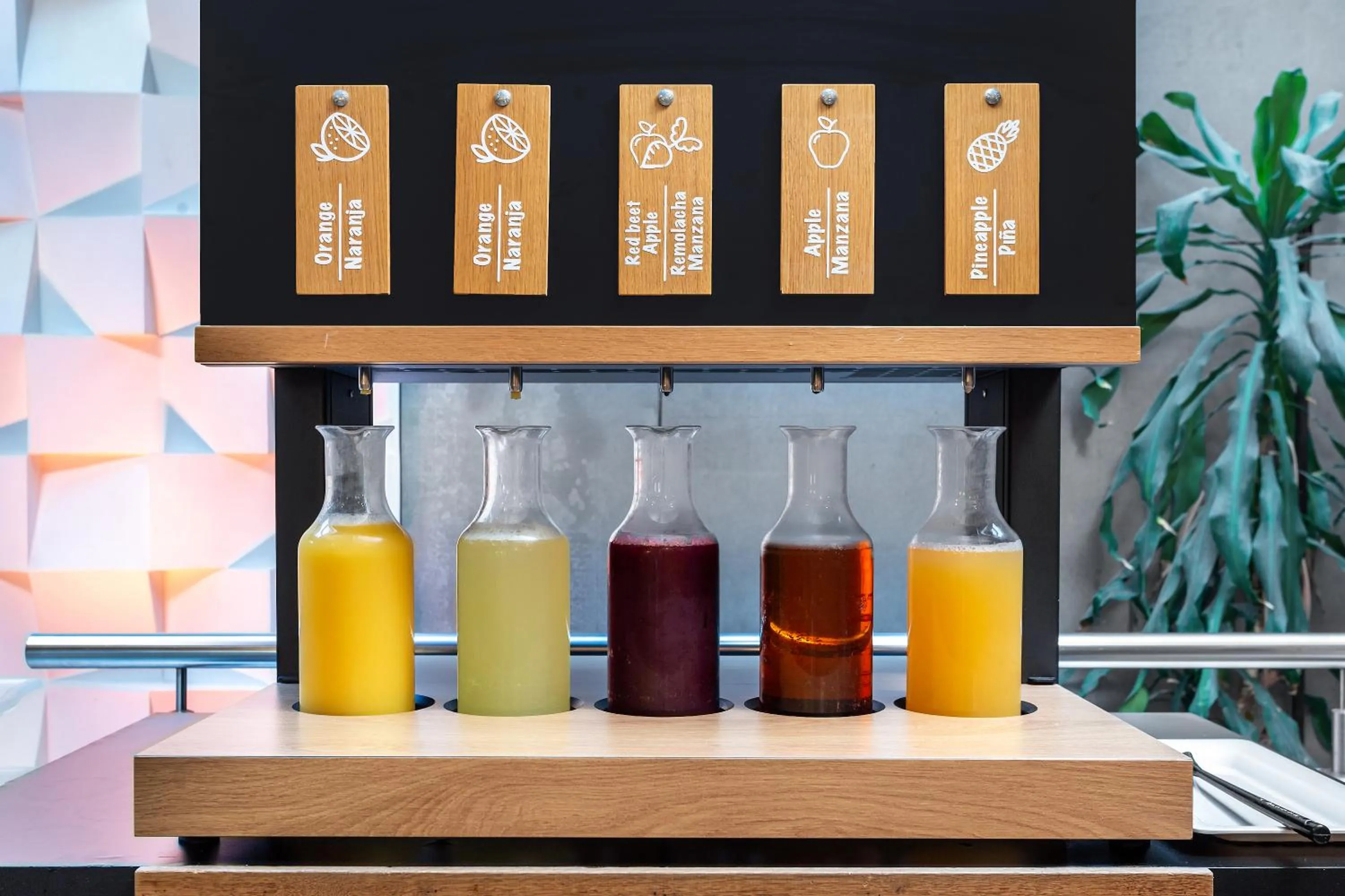 Breakfast in Hotel Baia