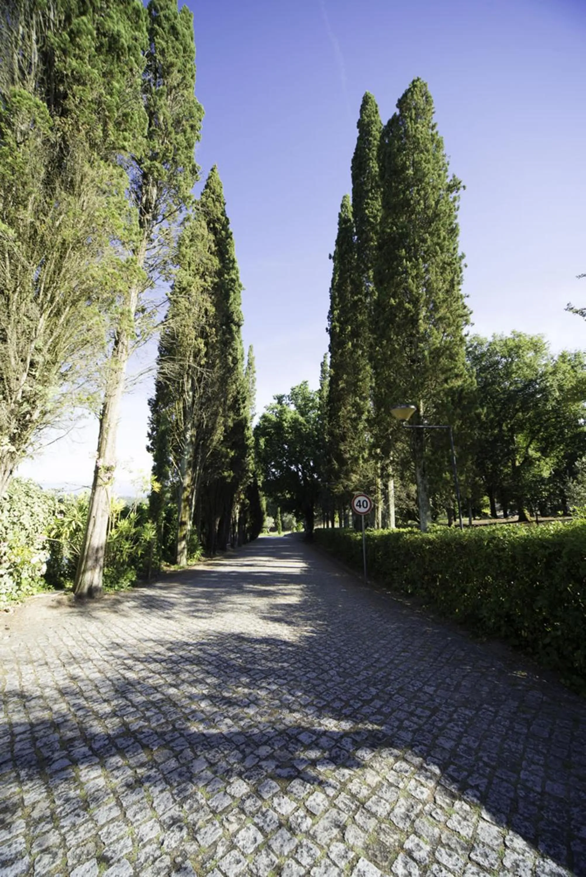Garden in Hotel Urgeirica