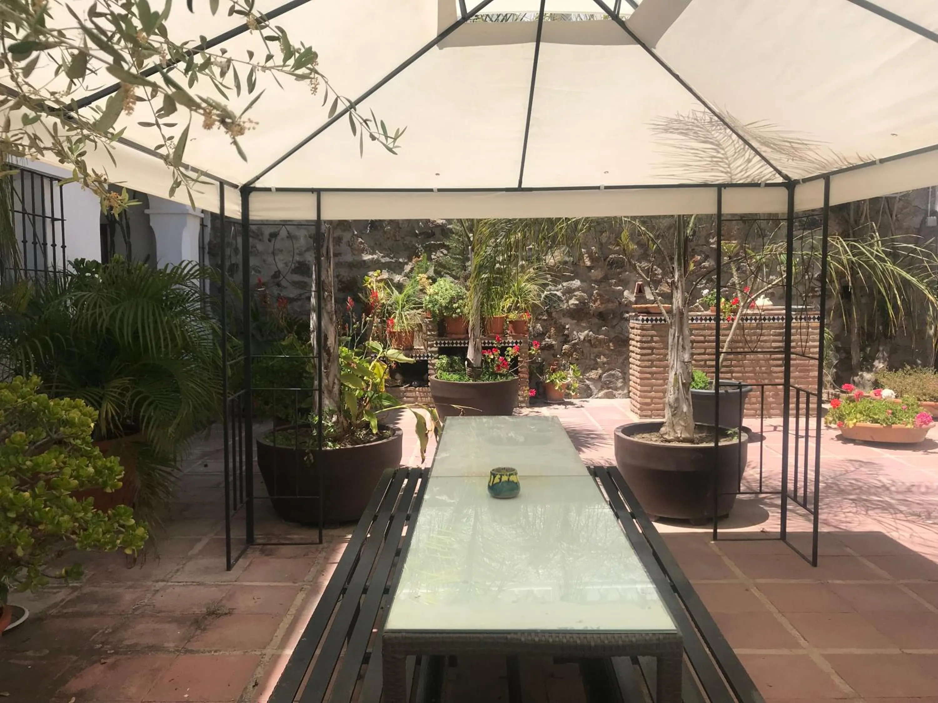 Garden in Apartamentos Turísticos La Mundial