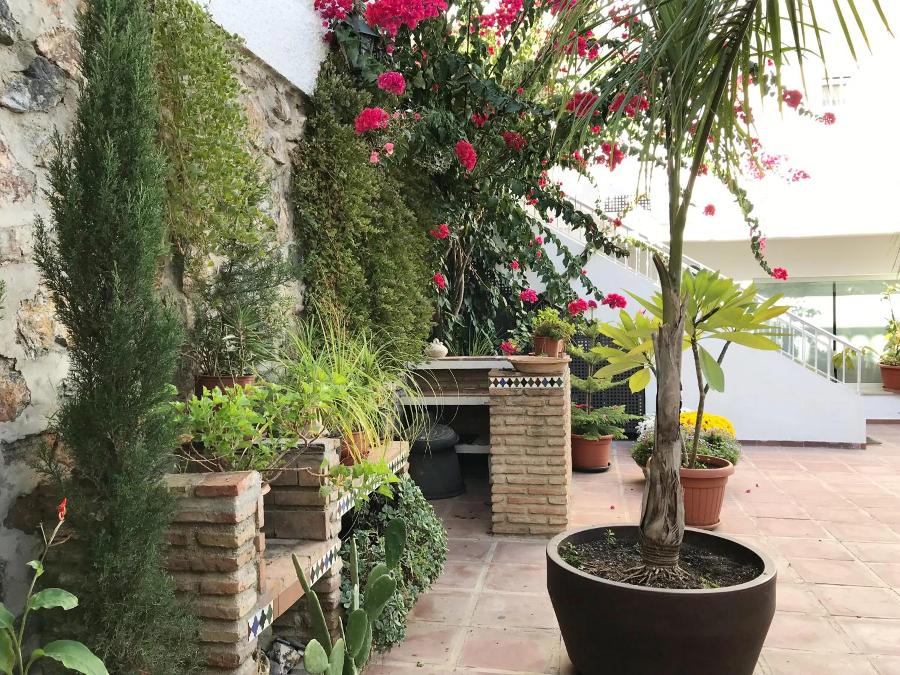 Patio in Apartamentos Turísticos La Mundial