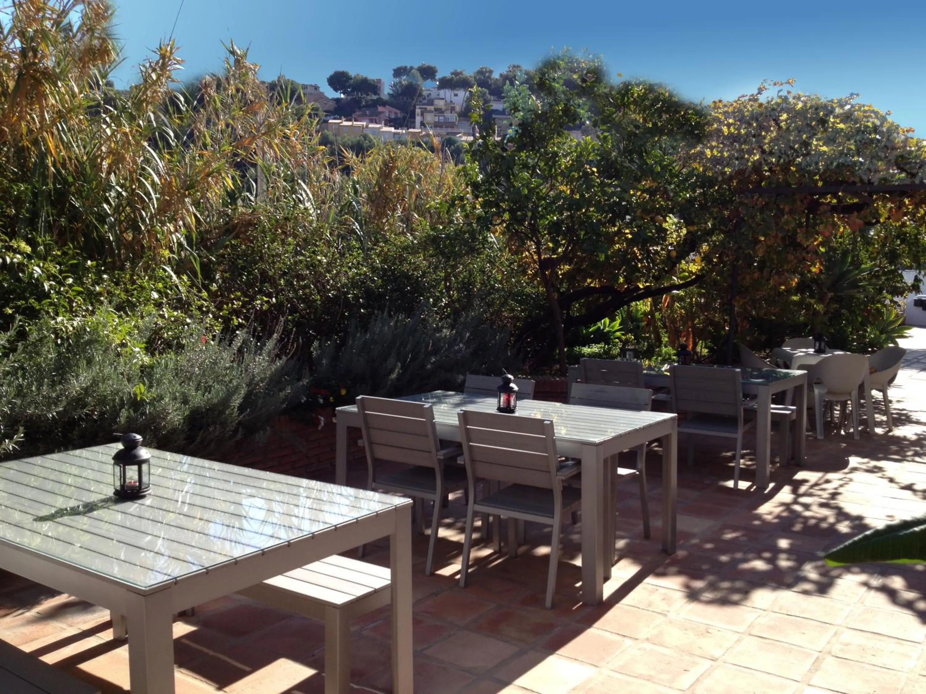 Garden in Apartamentos Turísticos La Mundial