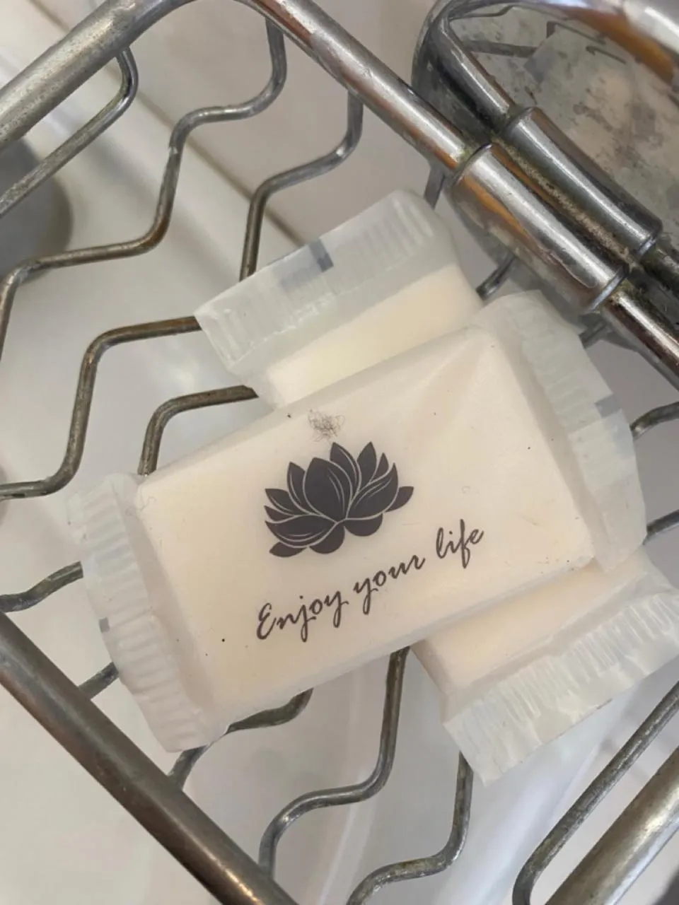 Decorative detail in Valhalla Panorama