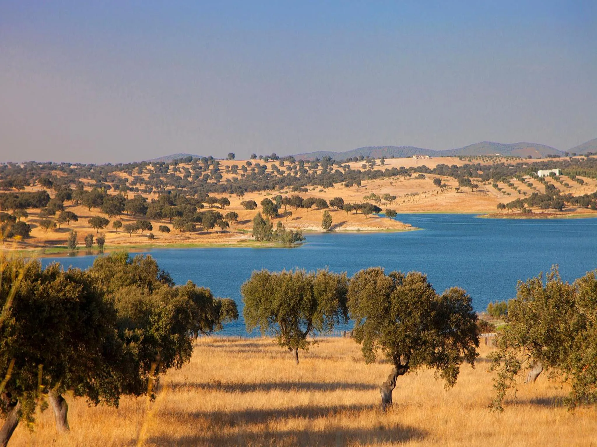 Natural landscape in Betica Hotel Rural