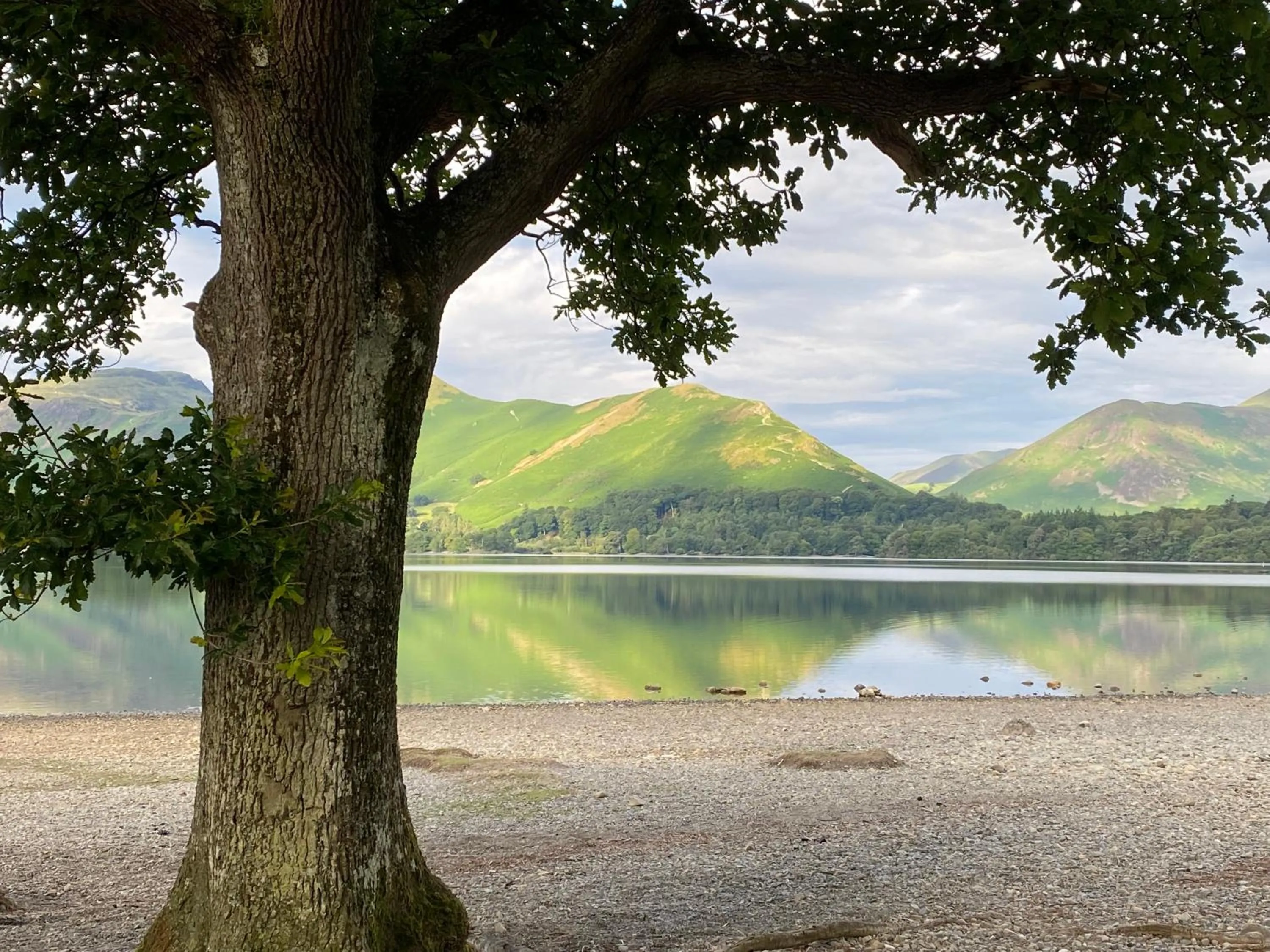 Off site in Goodwin House