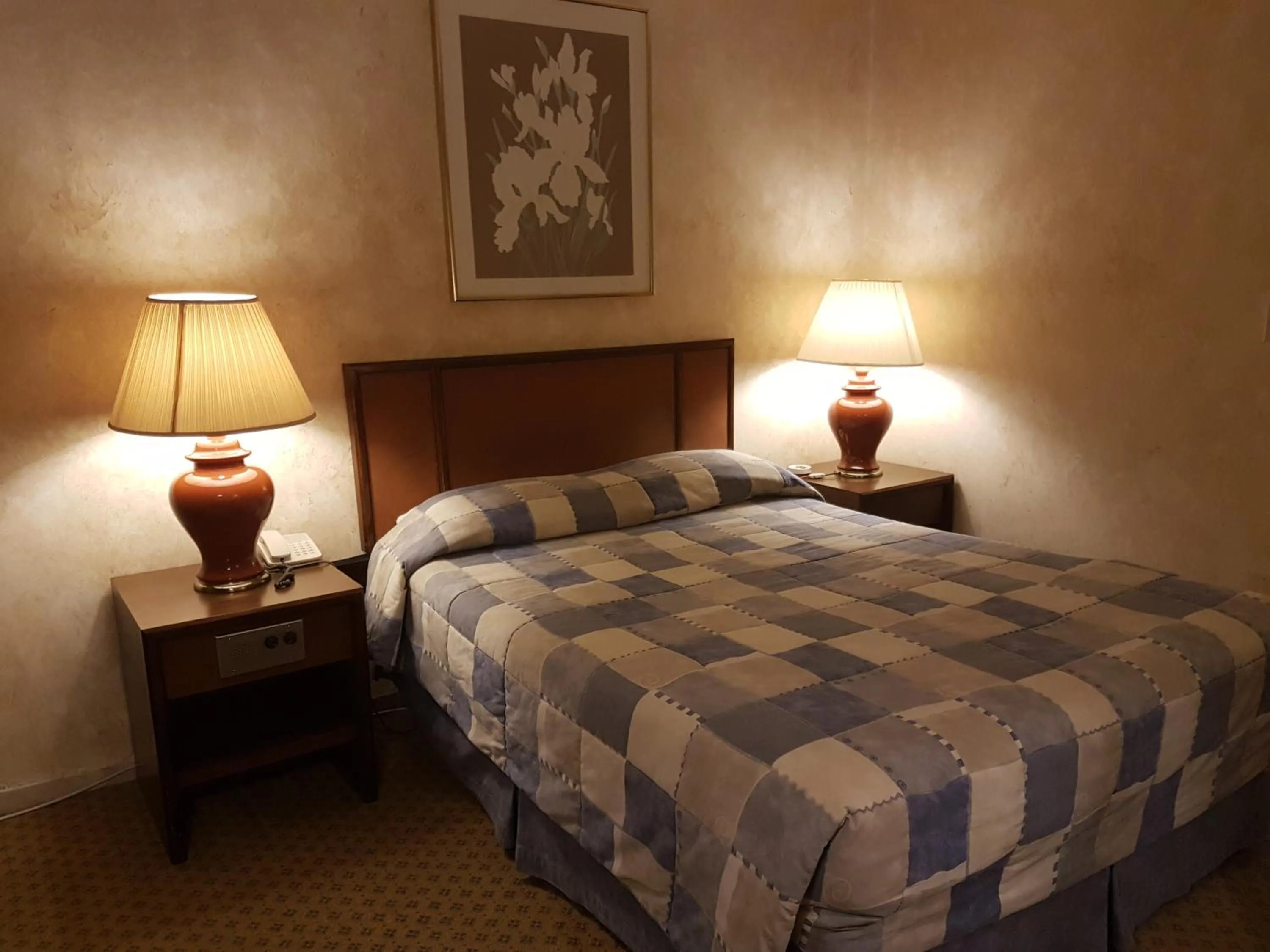 Single Room in Petra Palace Hotel