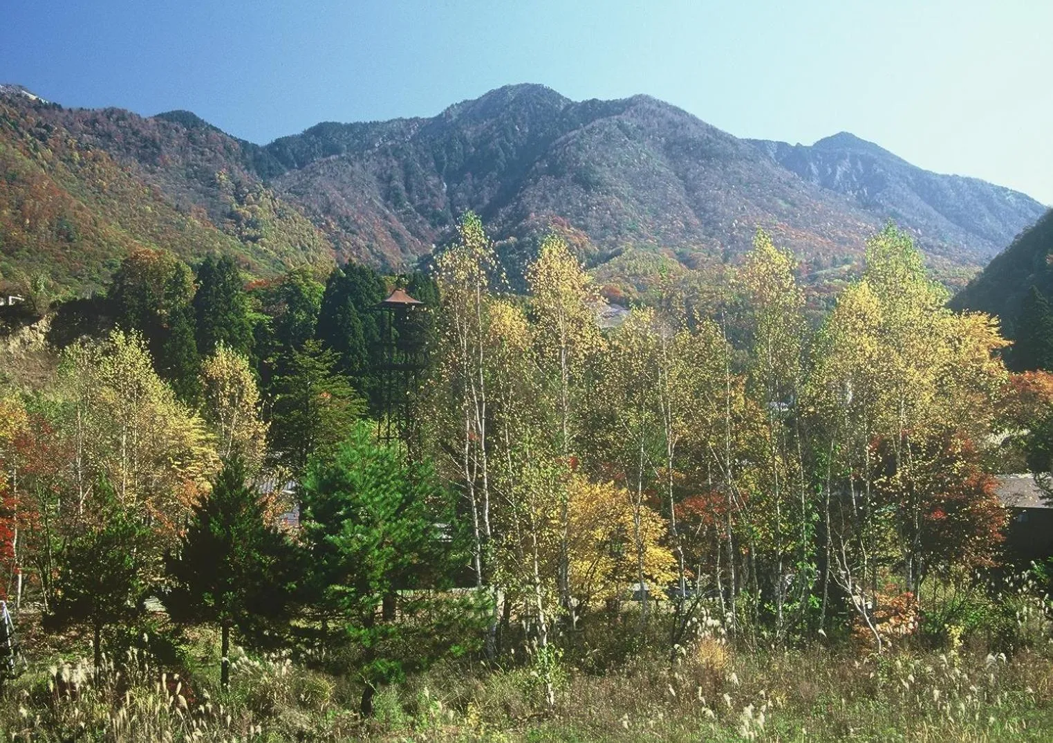 Off site in Katsuragi no Sato