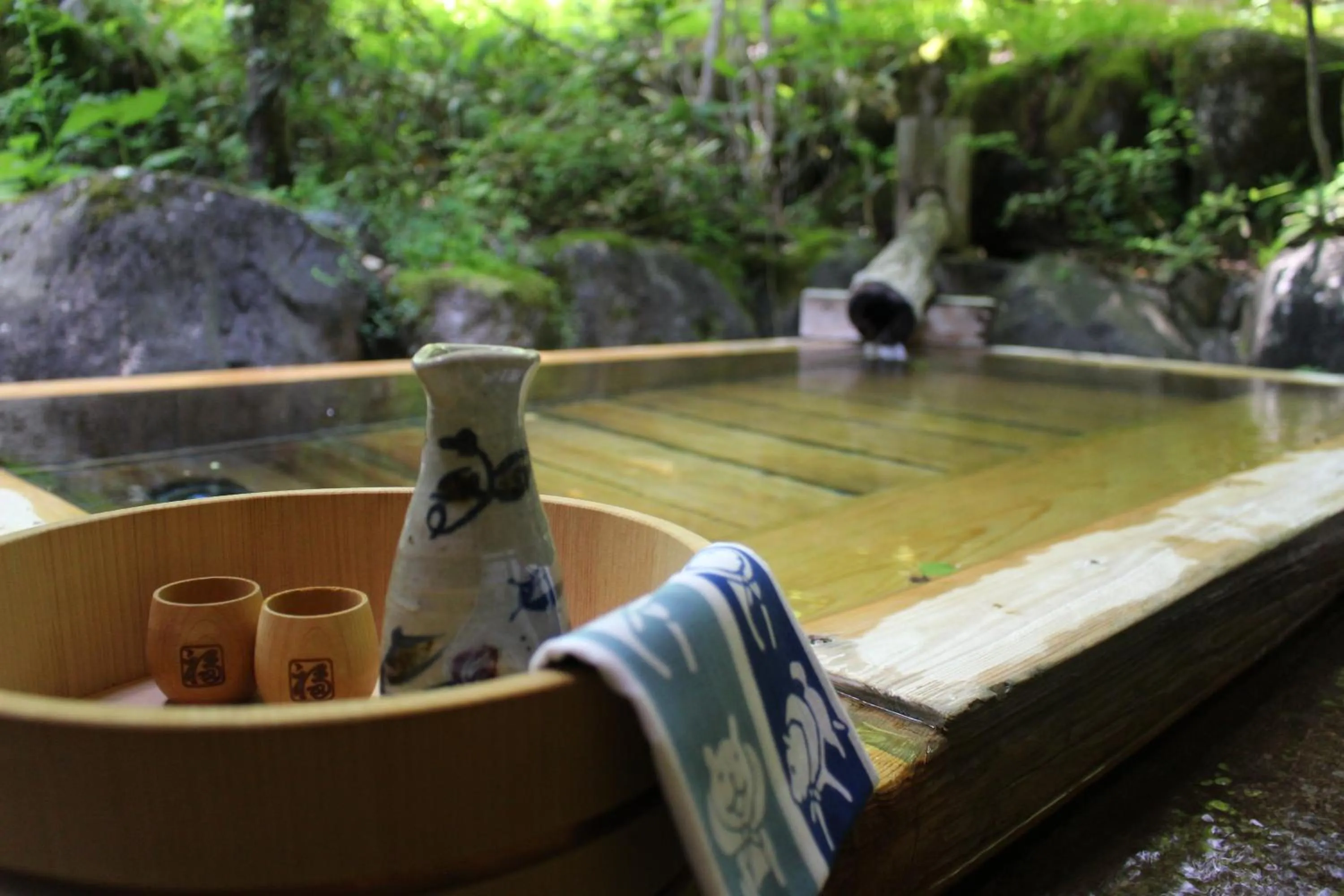 Hot Spring Bath in Katsuragi no Sato