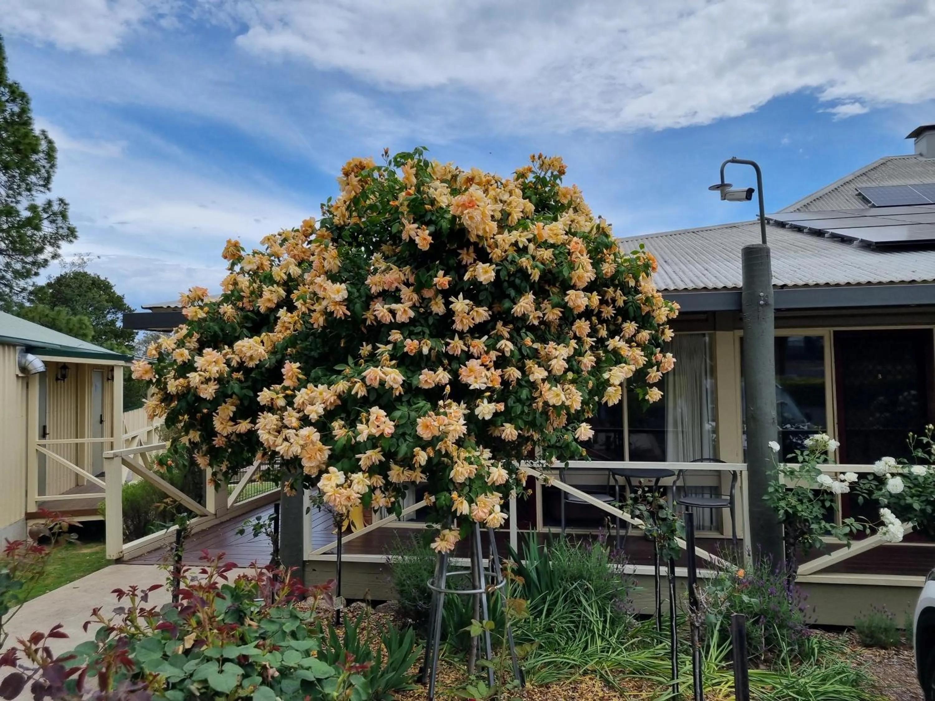 Garden in Golden Heritage Accommodation