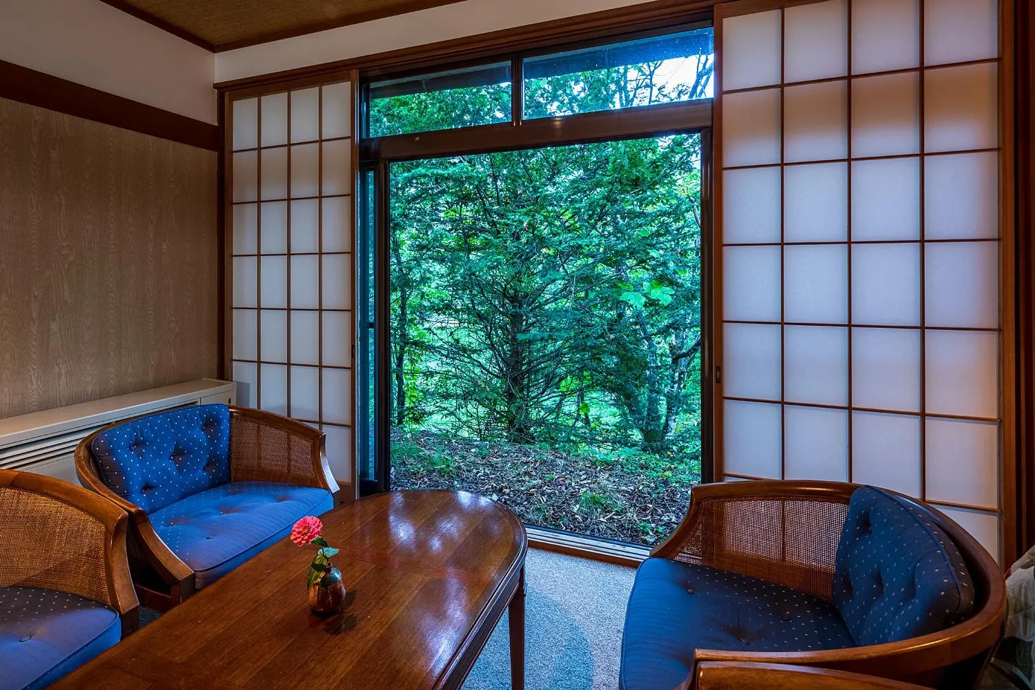 Mountain view in Furusato