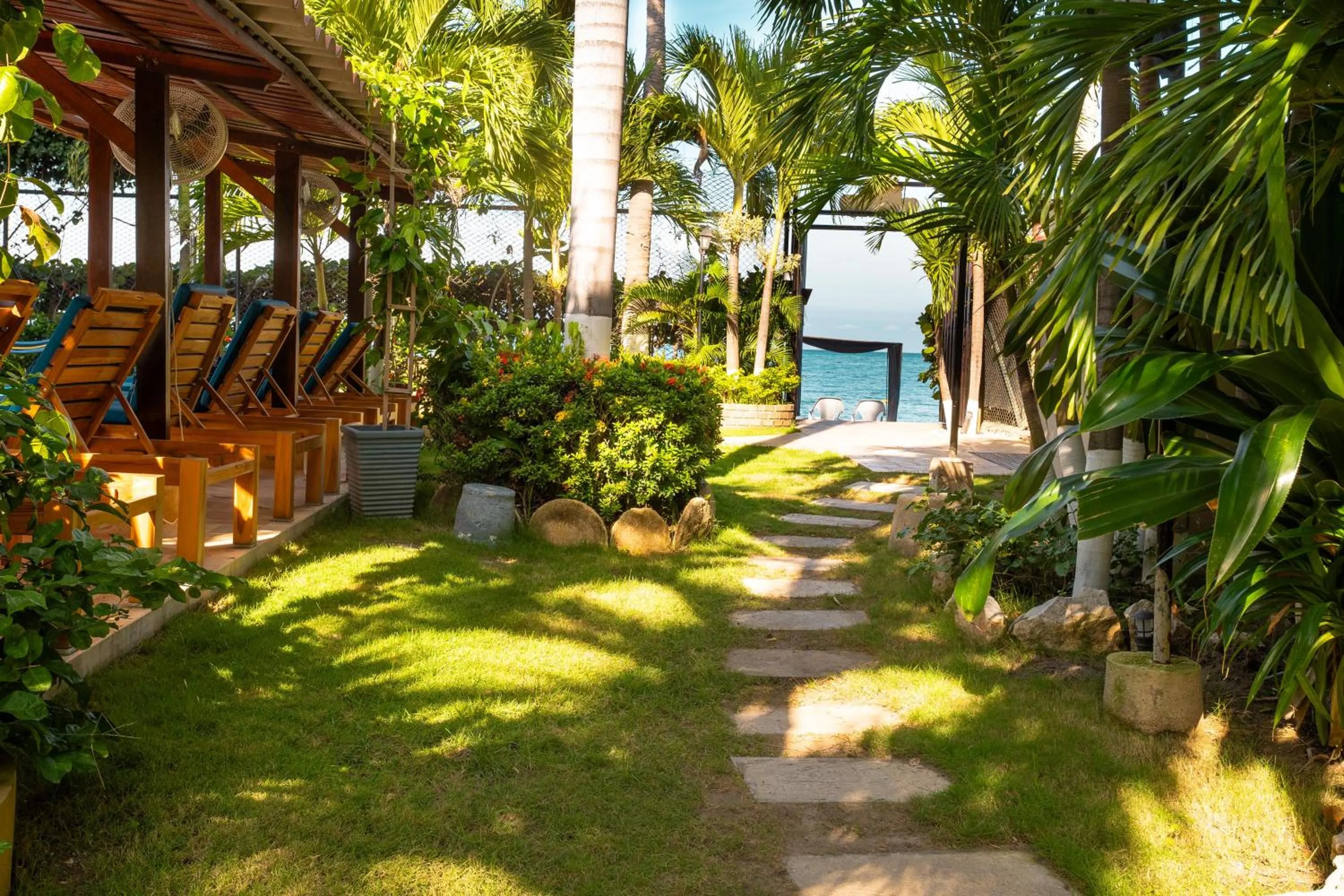 Natural landscape in Casa Verano Beach Hotel - Adults Only