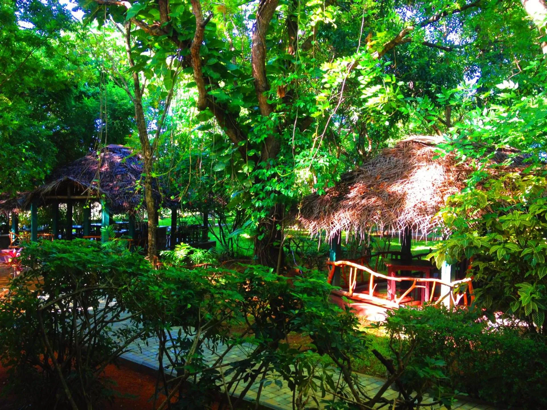 Nearby landmark in Pelwehera Village Resort