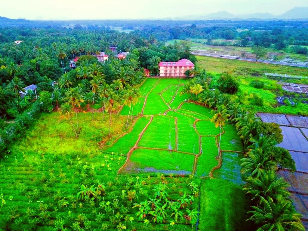 Natural landscape in Pelwehera Village Resort