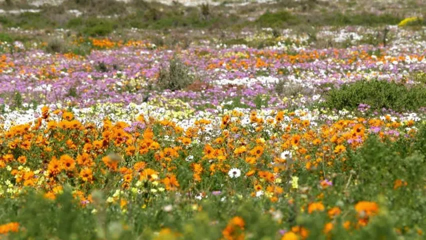 Hiking in Tortoise Trail Lodge