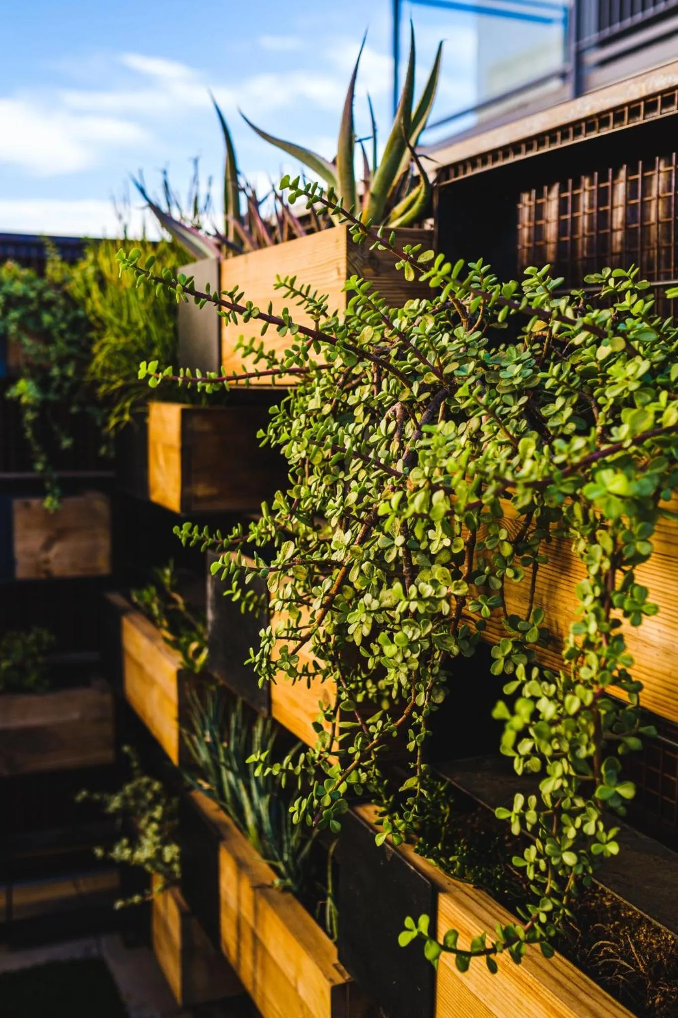 Other in voco The Tuxon by IHG