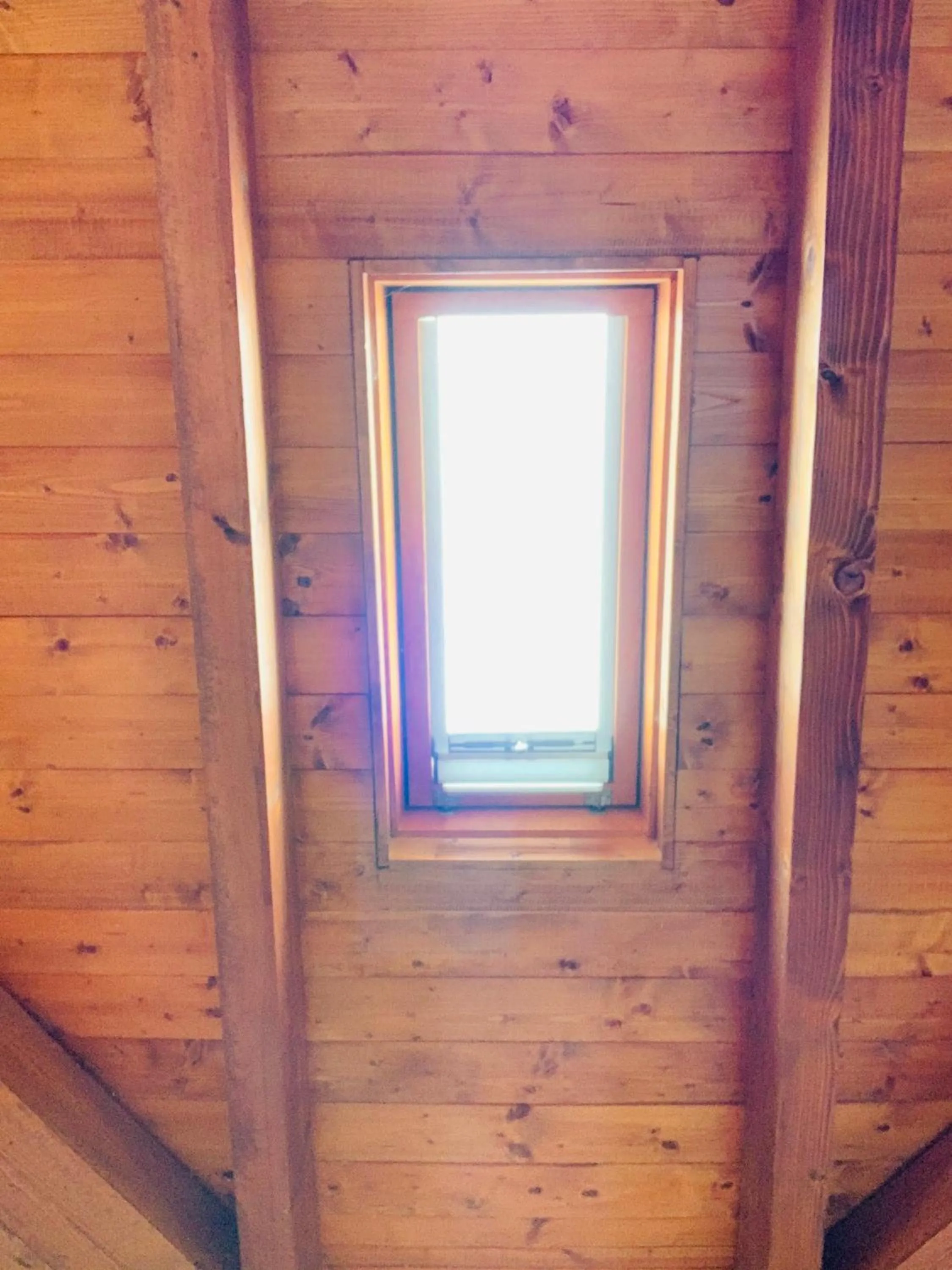 Viaggio della Vita B&B